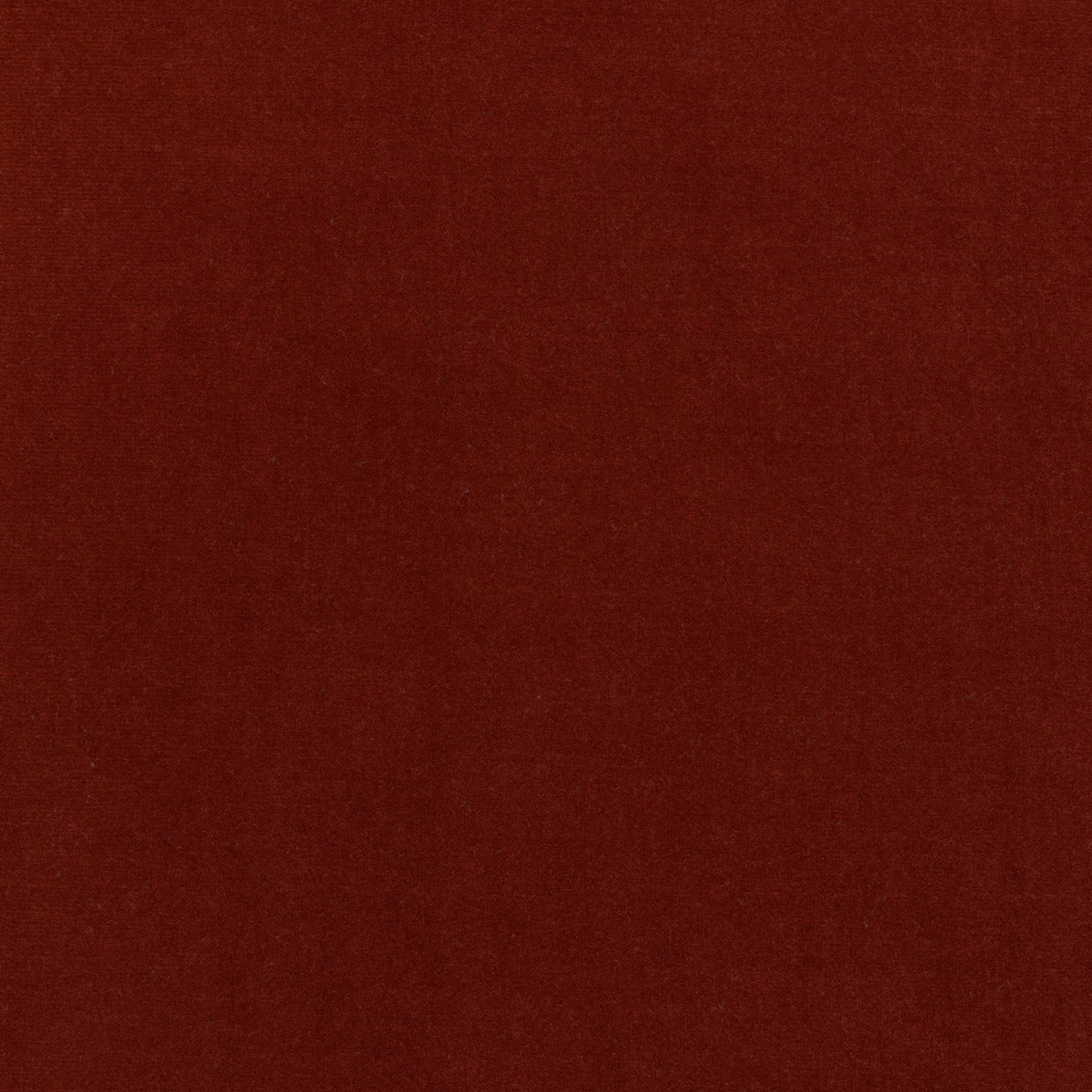 Lizzo | Eternal fabric - 18