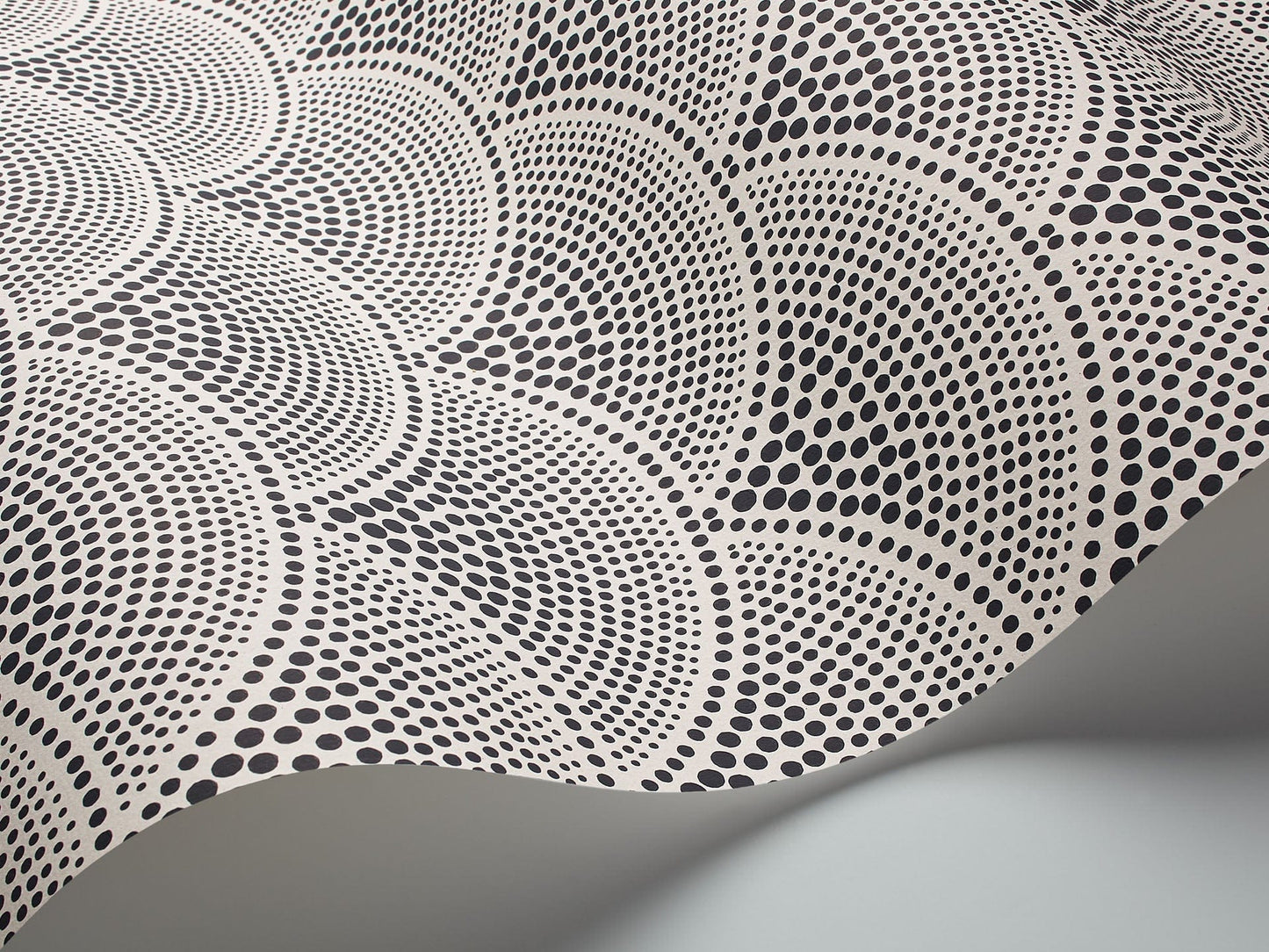 Cole & Son Feather Fan - interior
