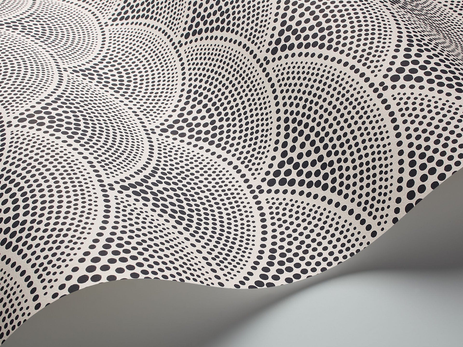 Cole & Son Feather Fan - interior