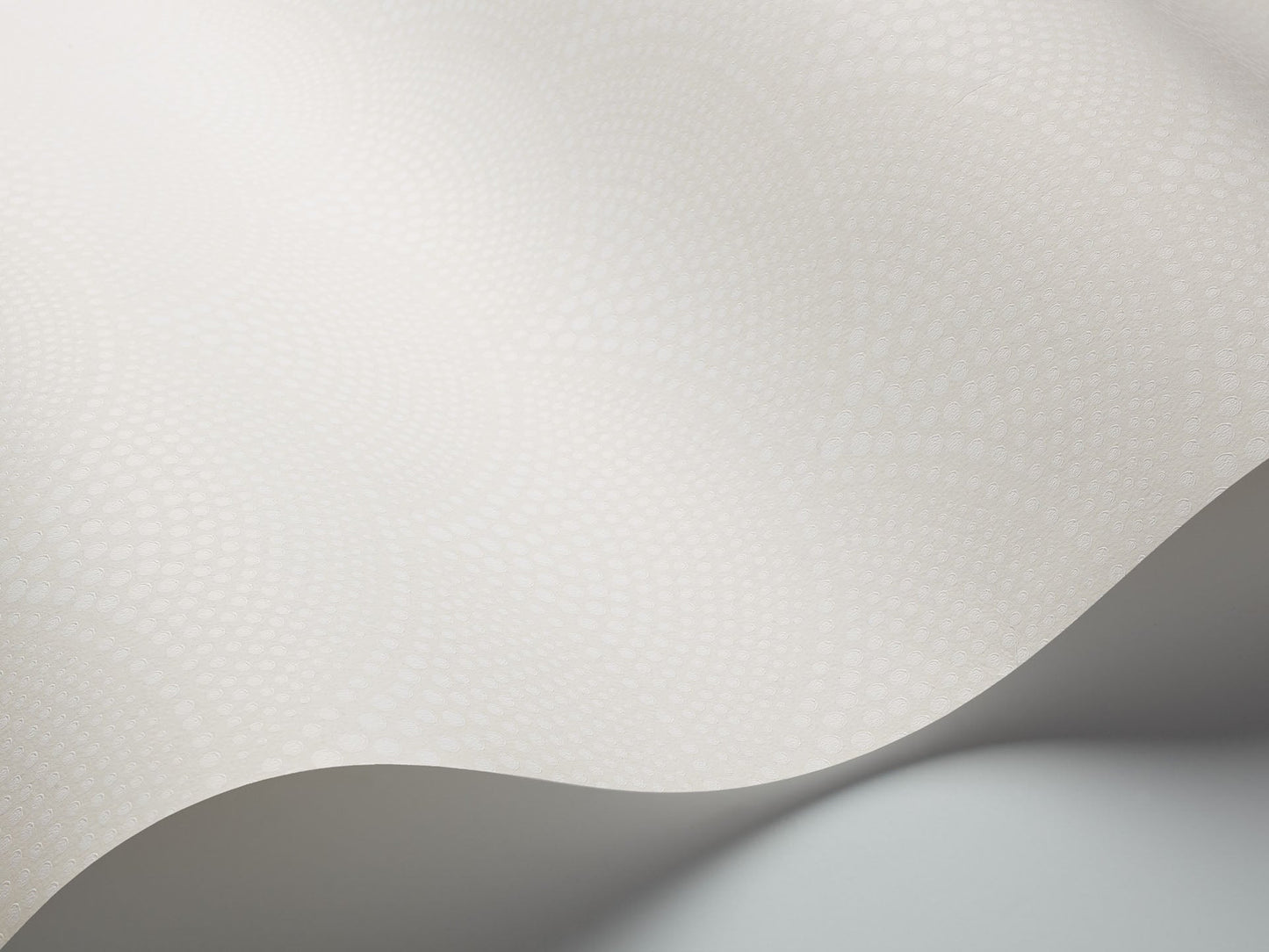 Cole & Son Feather Fan - interior