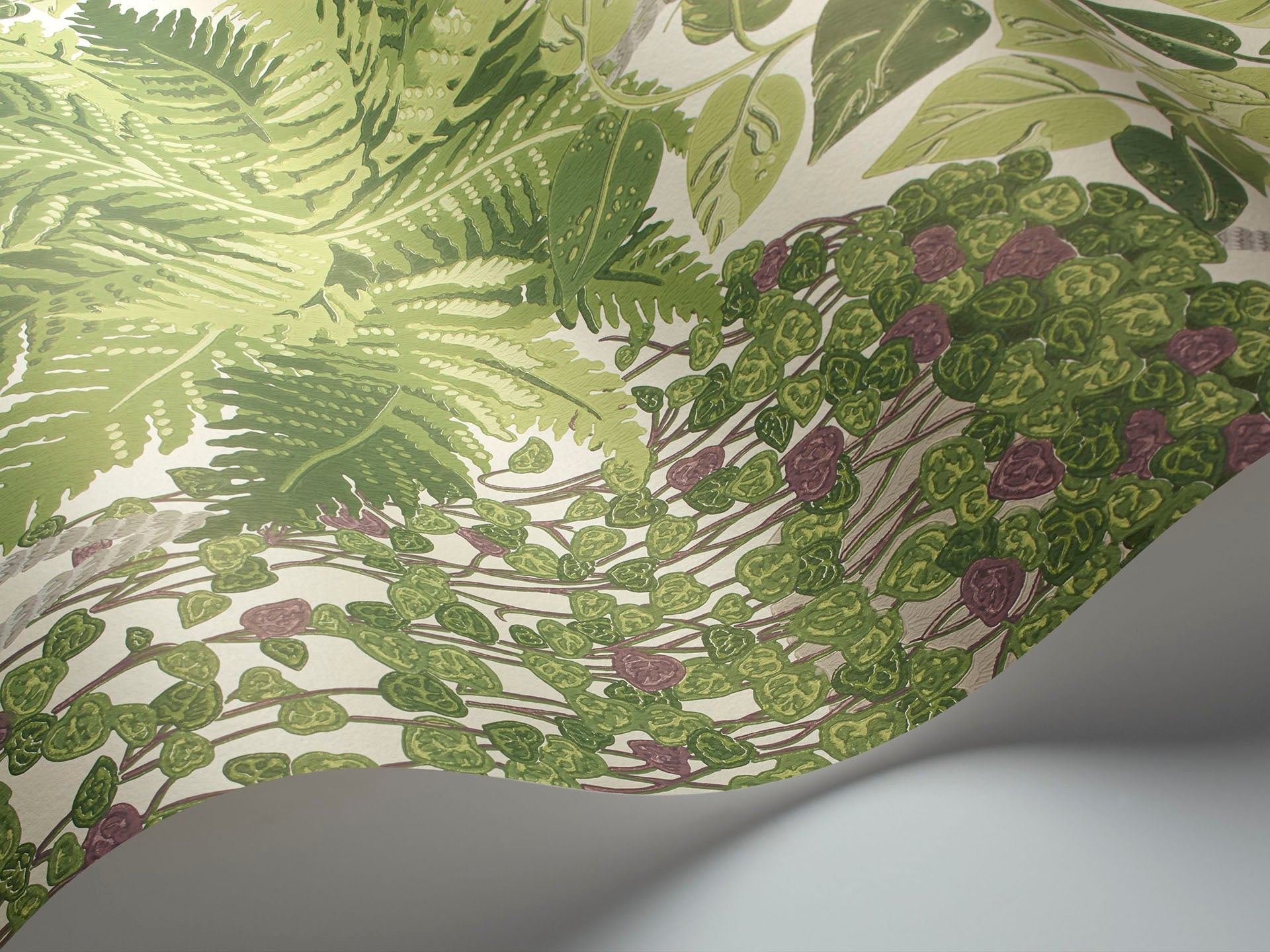 Cole & Son Fern - interior