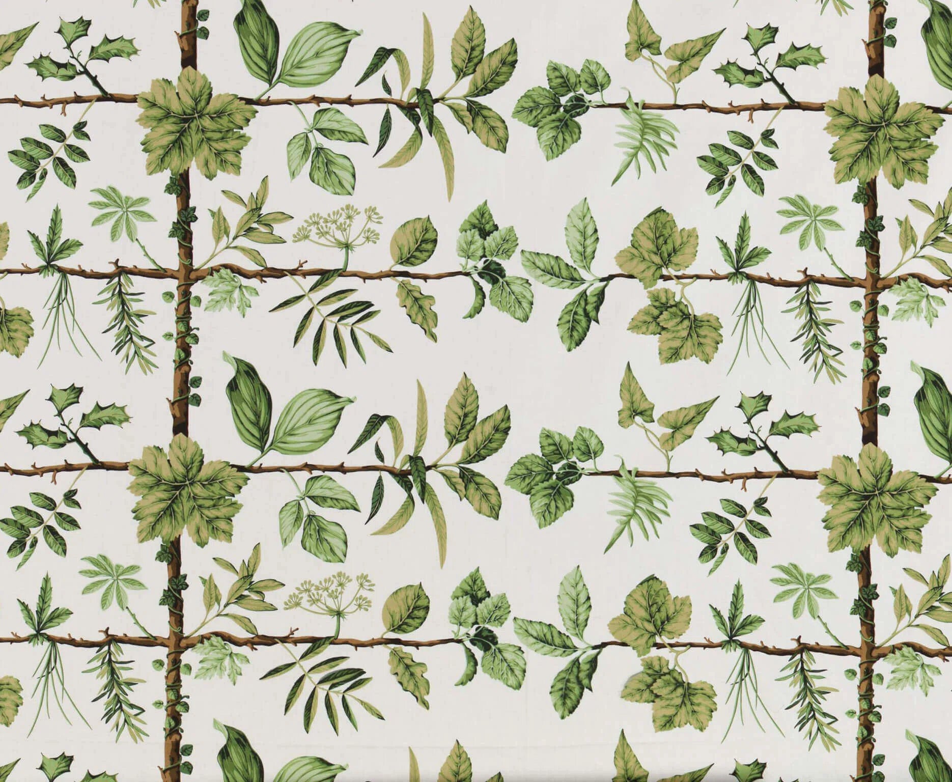 Pierre Frey Espalier - Foin