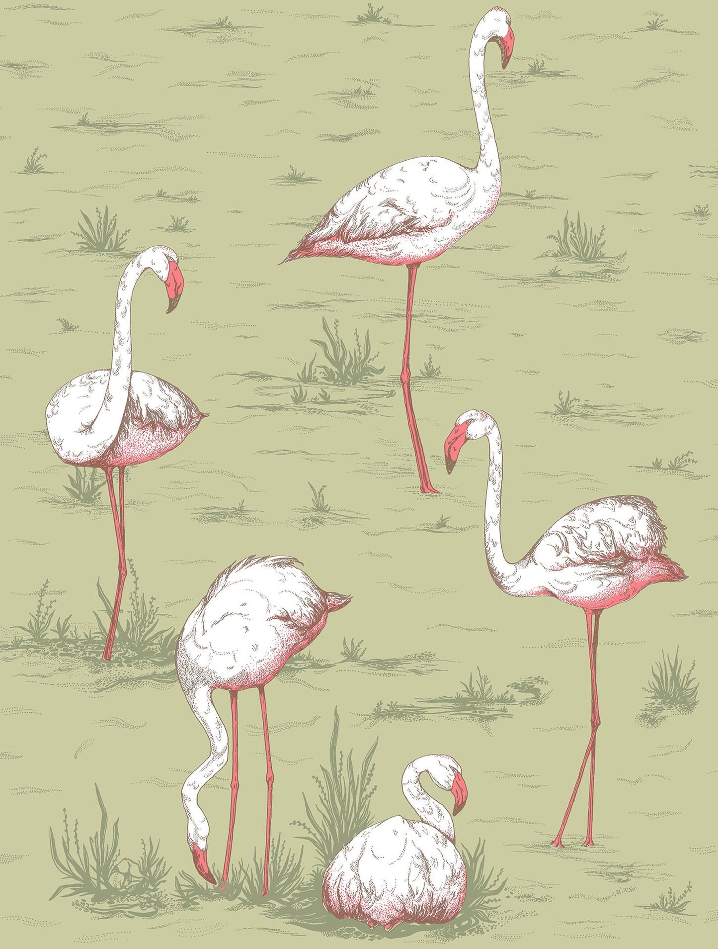 Cole & Son Flamingos - Olive