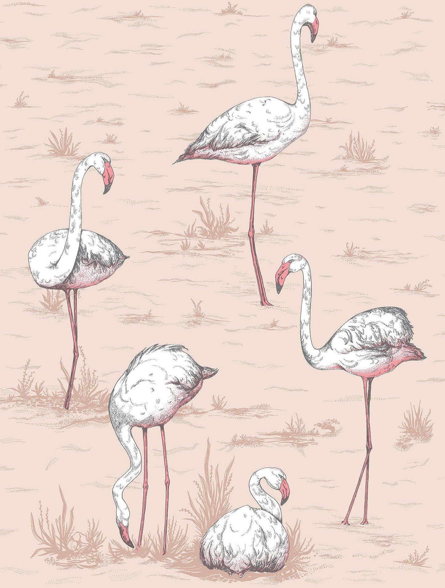 Cole & Son Flamingos - Plaster Pink