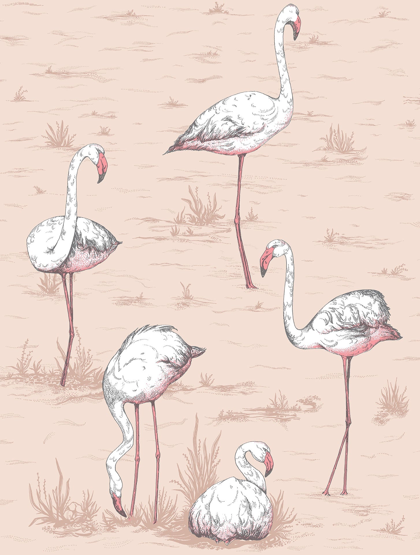 Cole & Son Flamingos - Plaster Pink