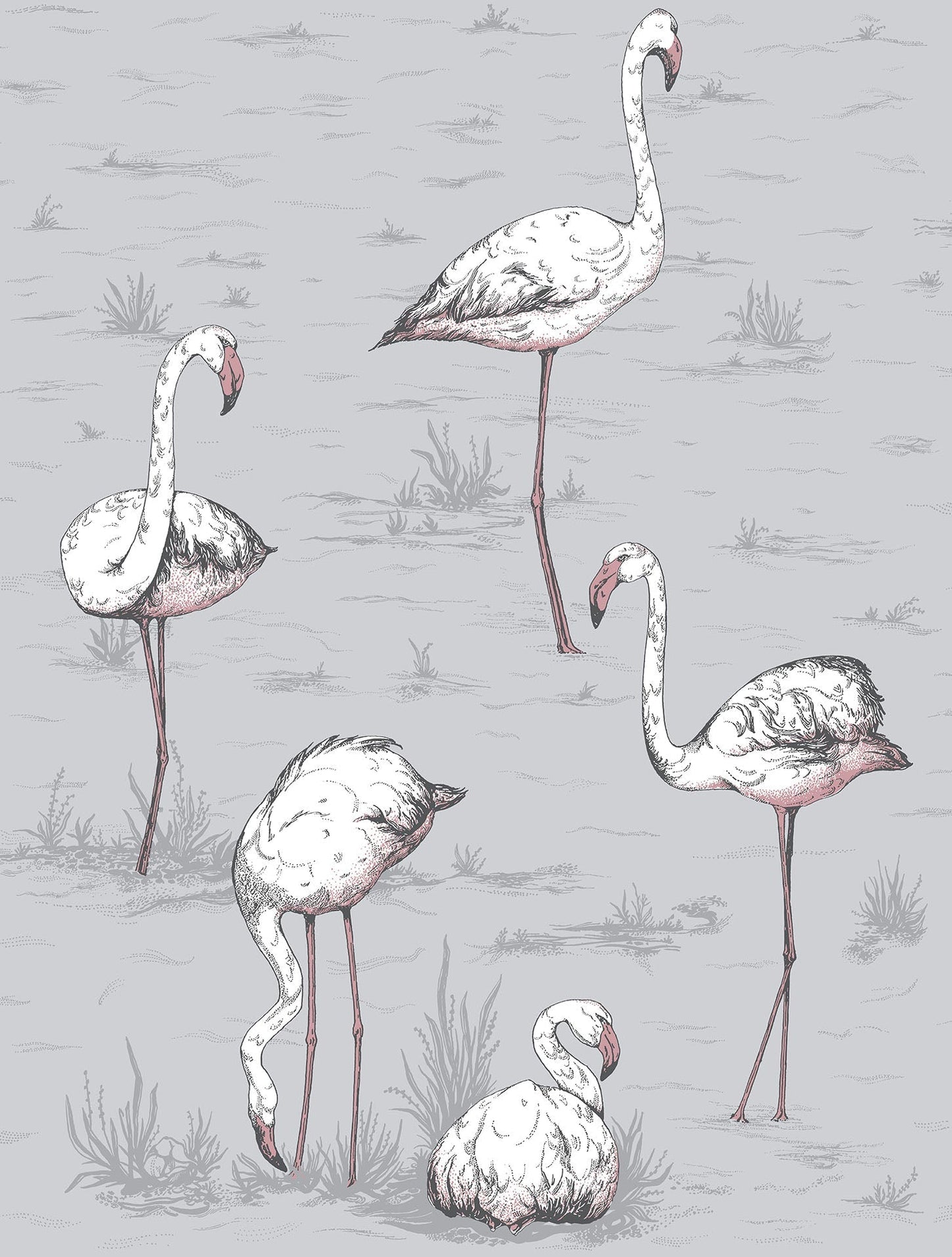 Cole & Son Flamingos - Heath Grey