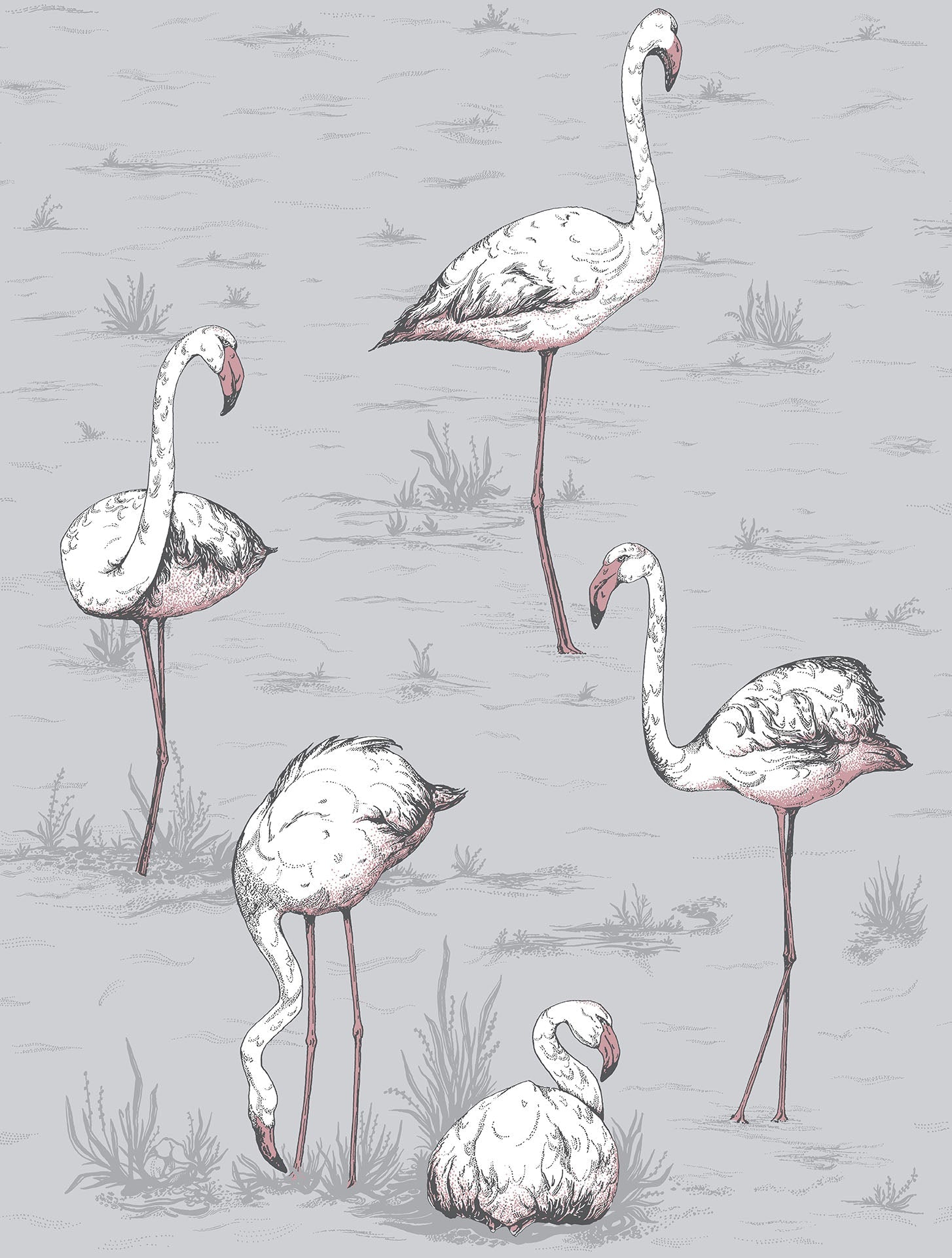 Cole & Son Flamingos - Heath Grey