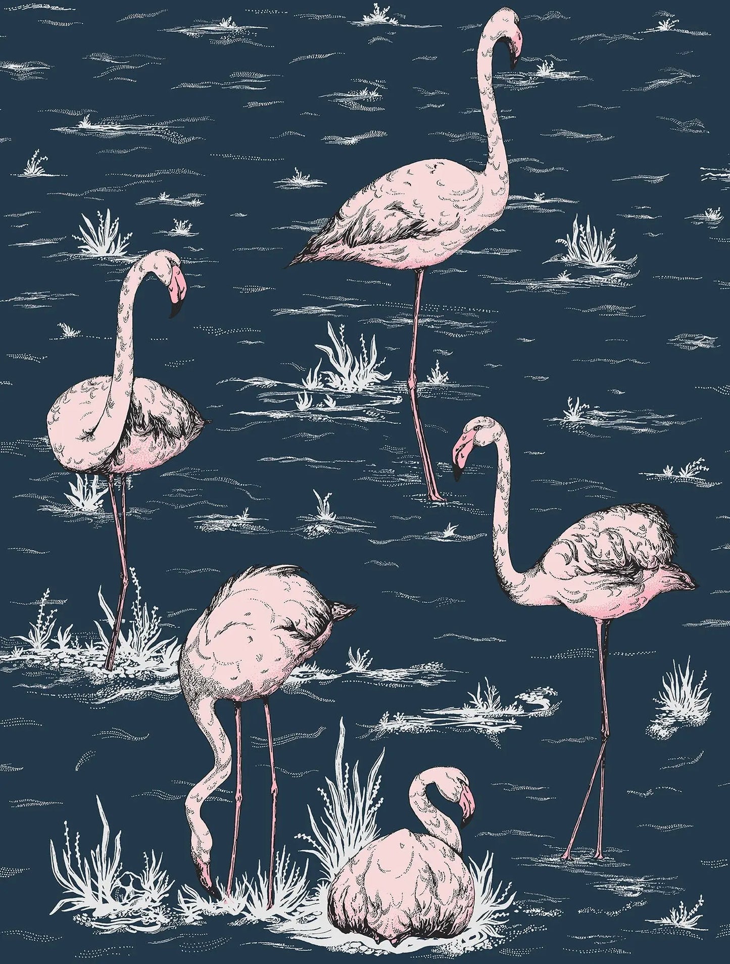 Cole & Son Flamingos - Blush on Midnight