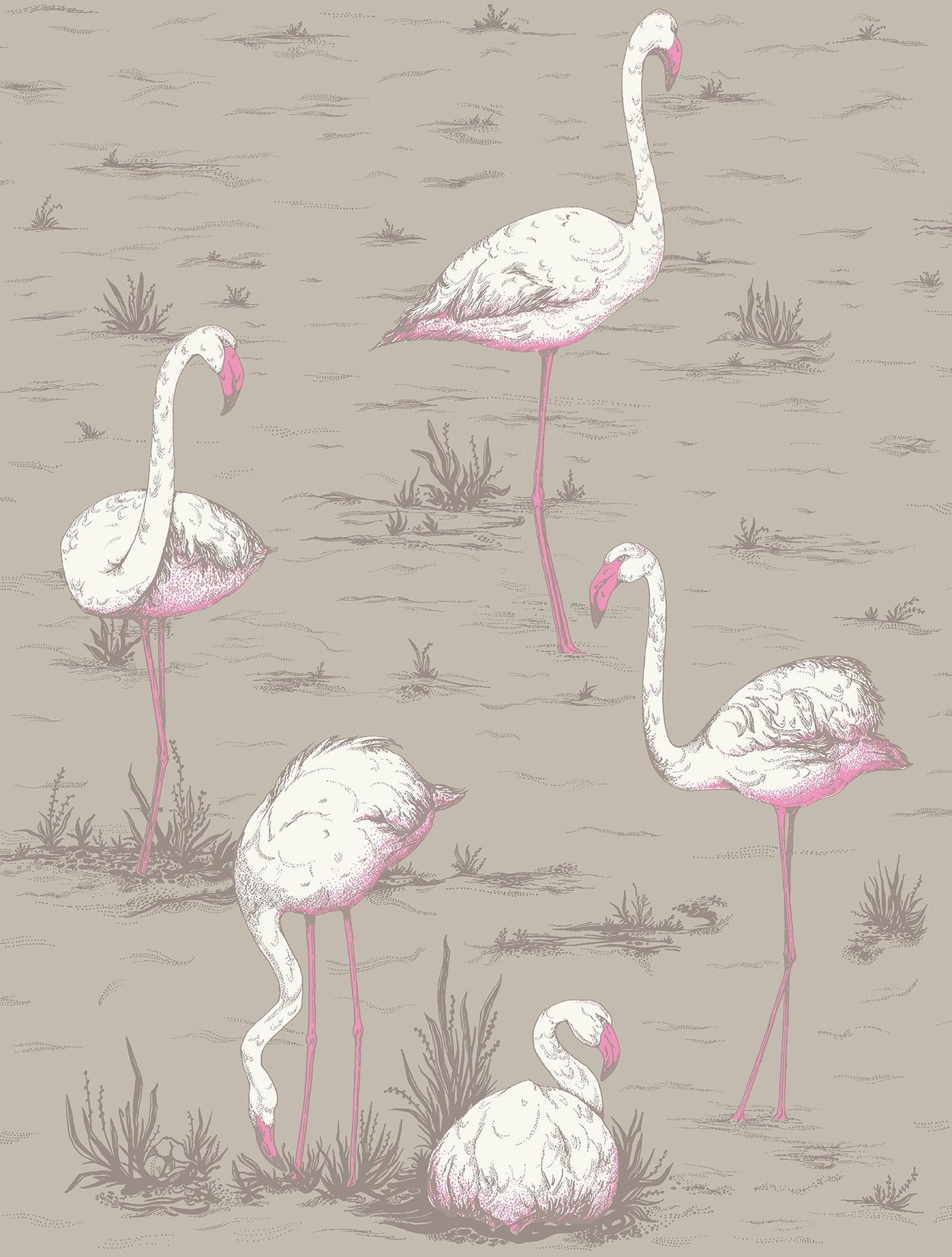 Cole & Son Flamingos wallpaper - White & Fuchsia on Taupe