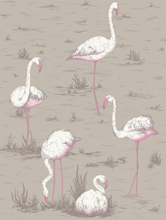 Cole & Son Flamingos wallpaper - White & Fuchsia on Taupe