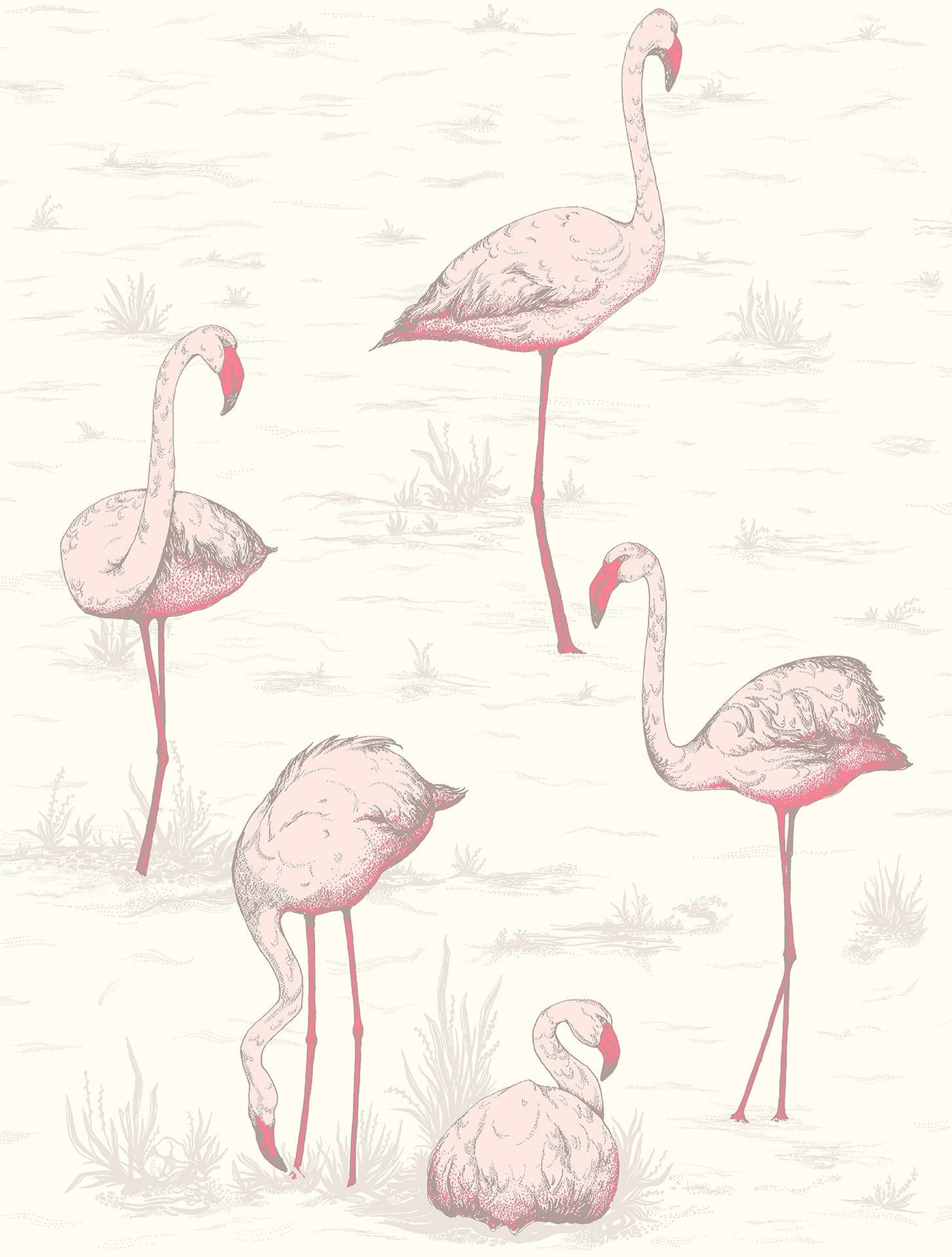 Cole & Son Flamingos - Blush & Cerise on White