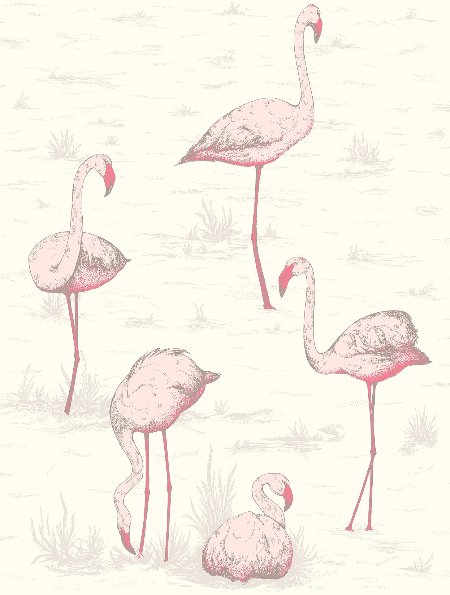 Cole & Son Flamingos - Blush & Cerise on White