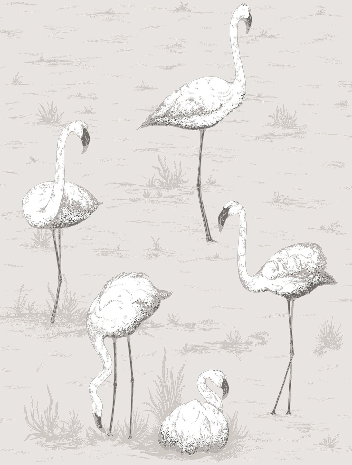 Cole & Son Flamingos - Chalk & Soot on Snow