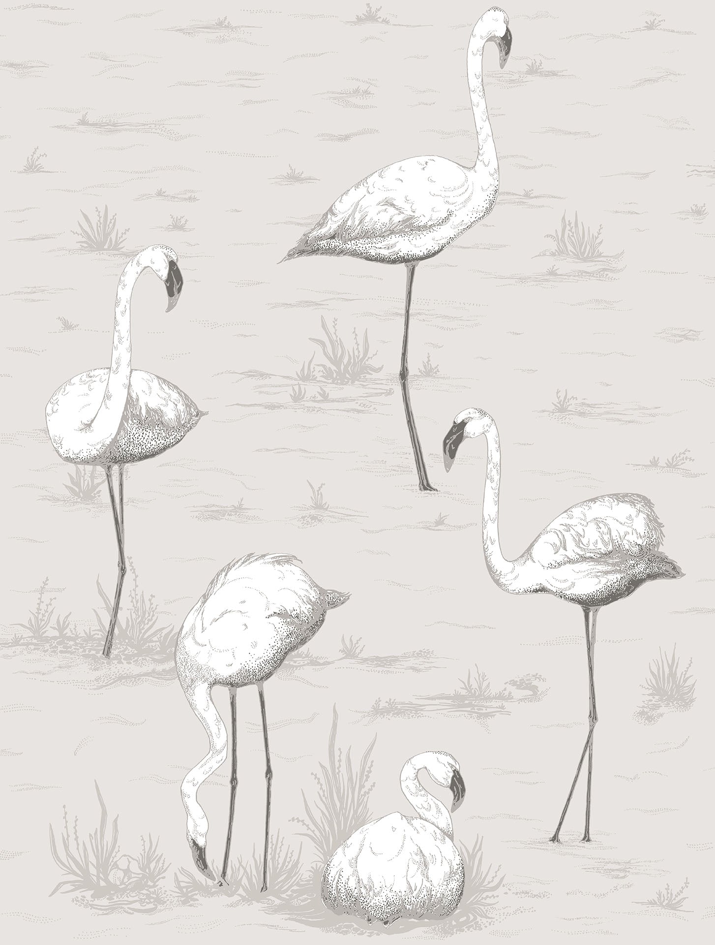 Cole & Son Flamingos - Chalk & Soot on Snow