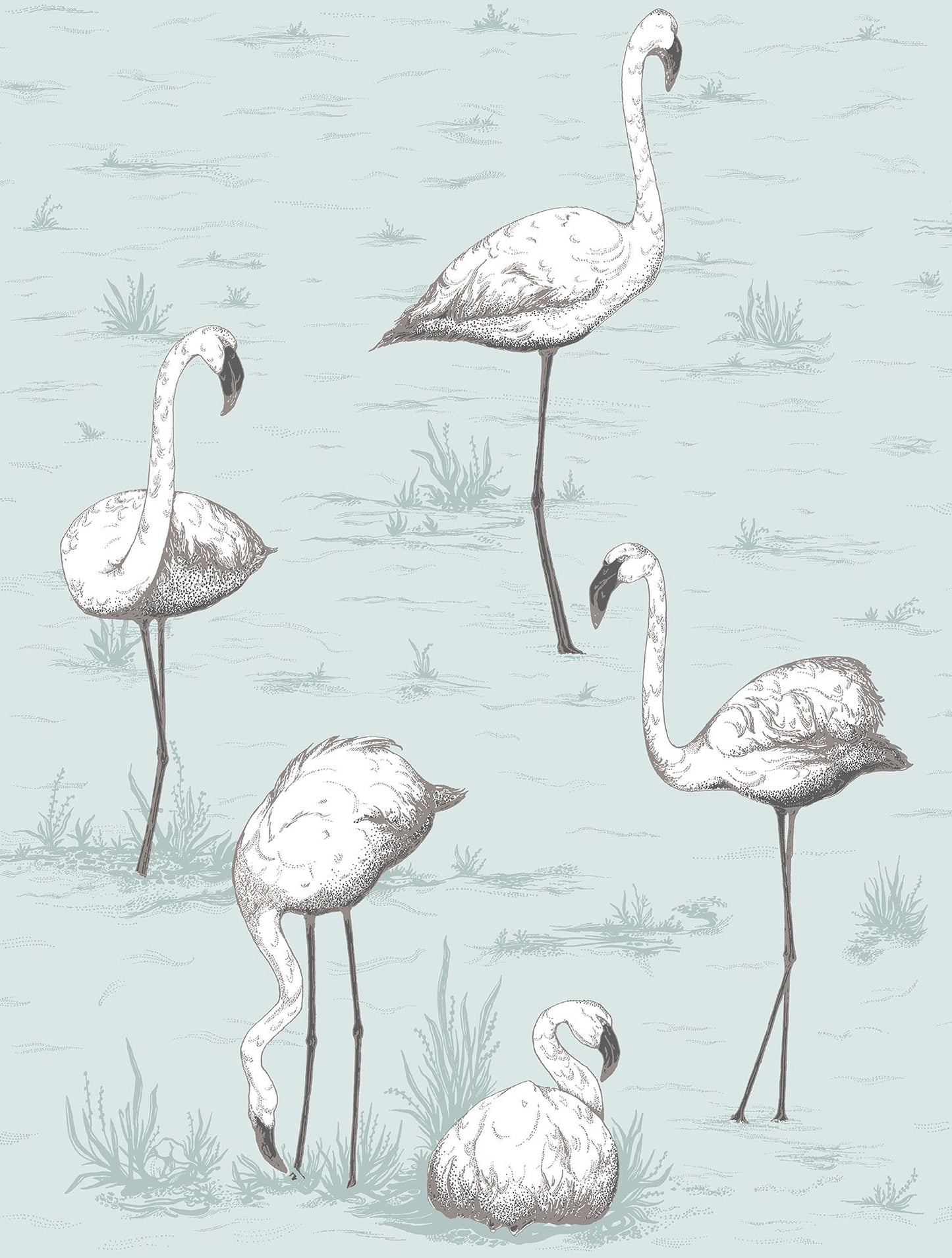 Cole & Son Flamingos - White & Charcoal on Powder Blue