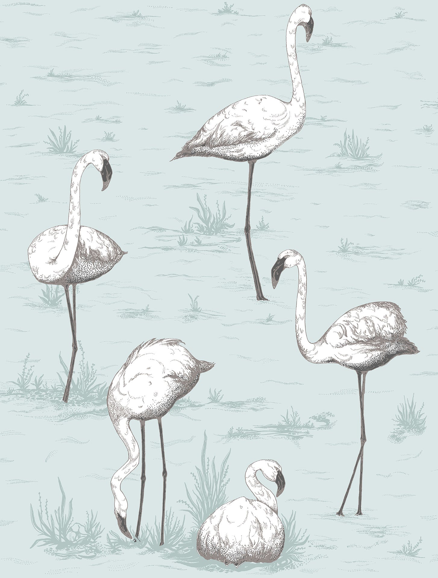 Cole & Son Flamingos - White & Charcoal on Powder Blue
