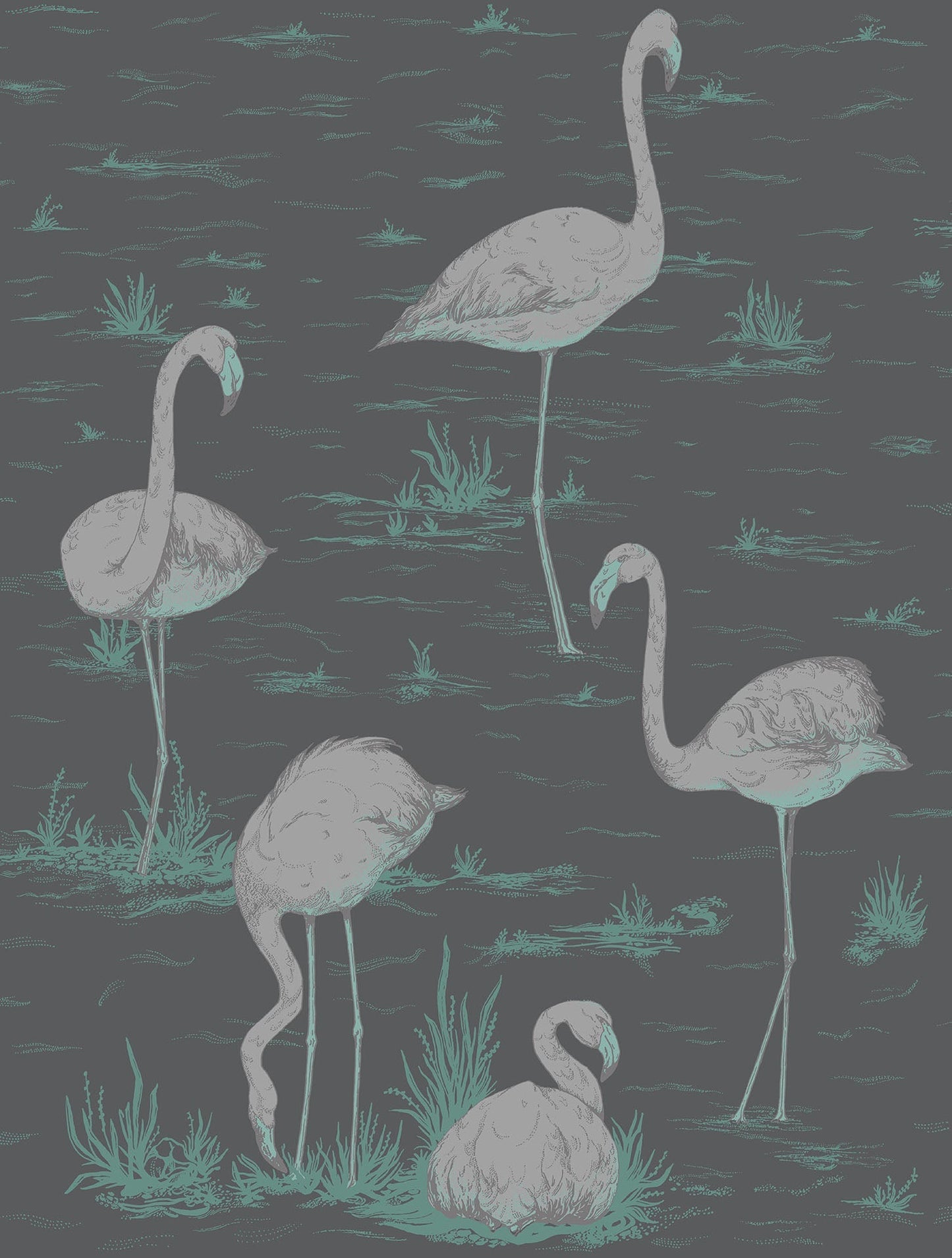 Cole & Son Flamingos - Metallic Silver & Teal on Charcoal