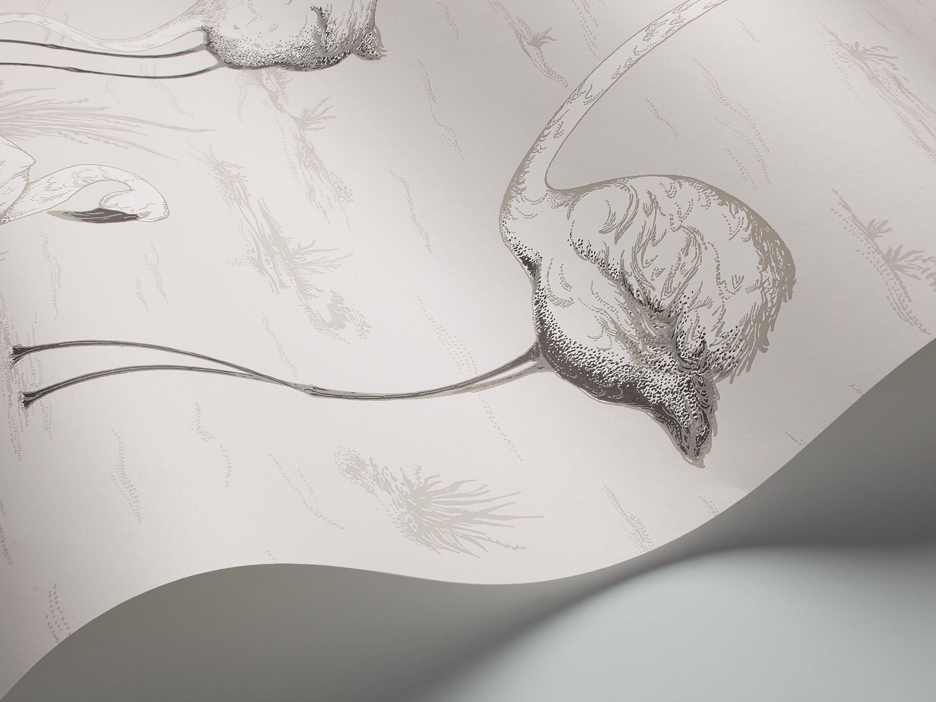 Cole & Son Flamingos - interior