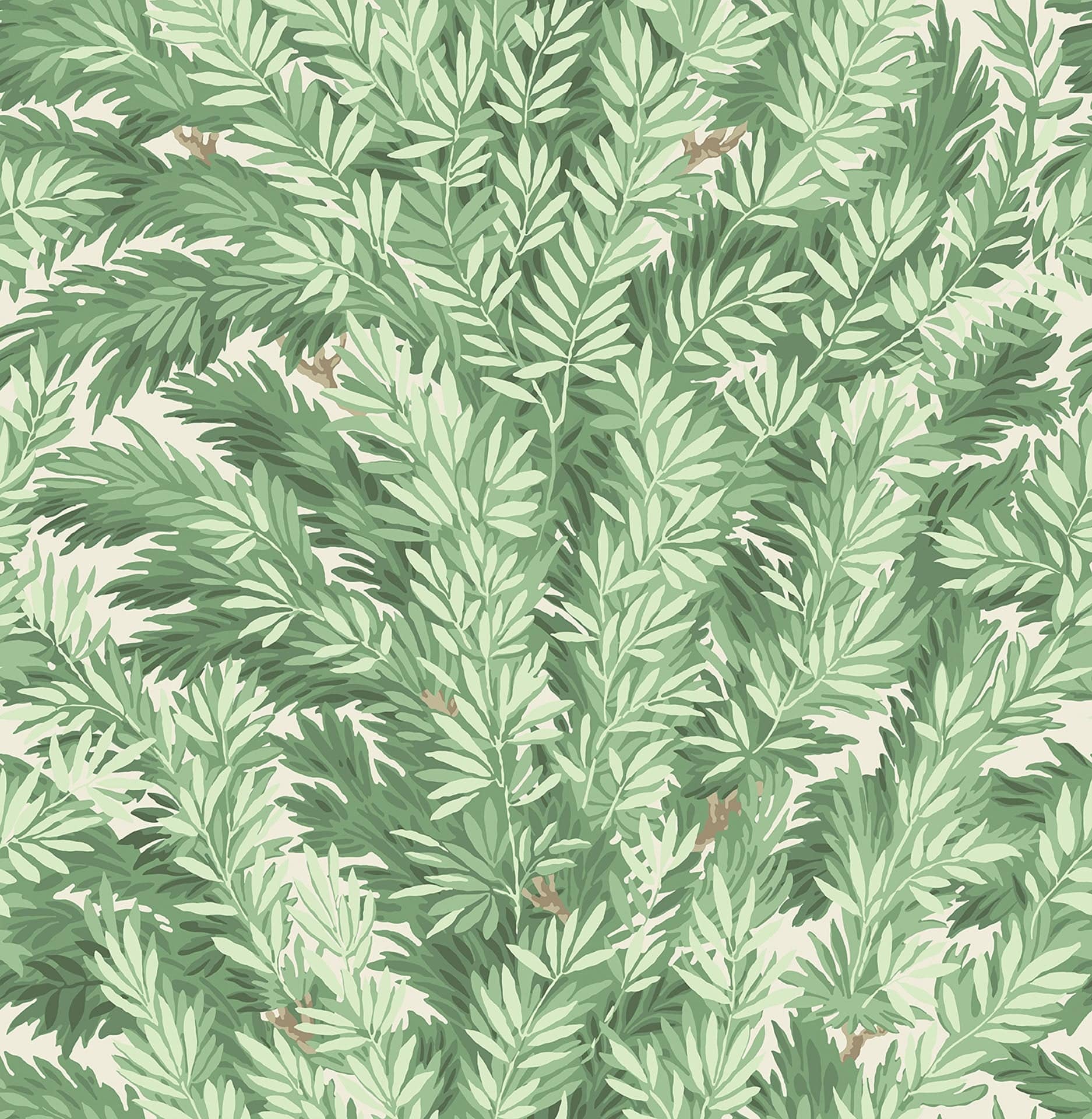 Cole & Son Florencecourt - Leaf Green on Parchment