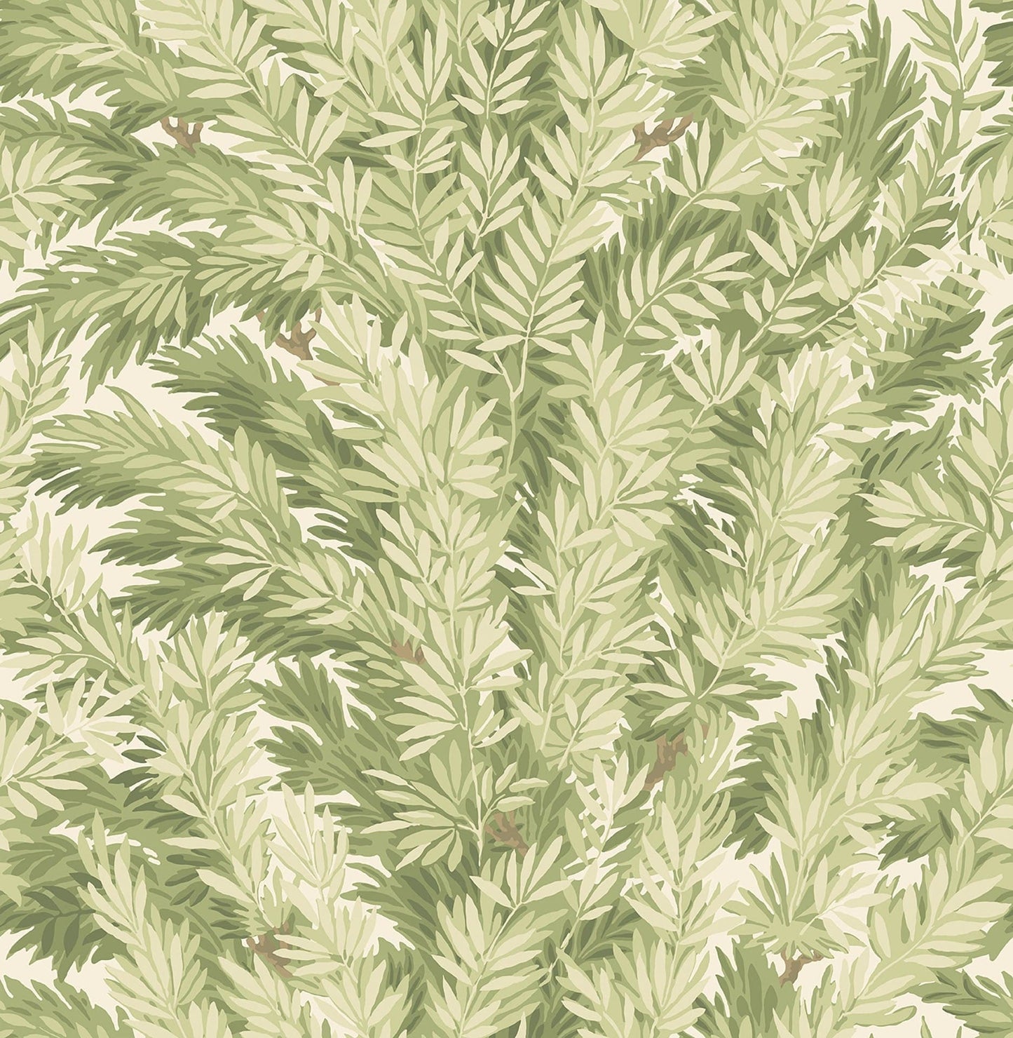 Cole & Son Florencecourt - Olive on Cream