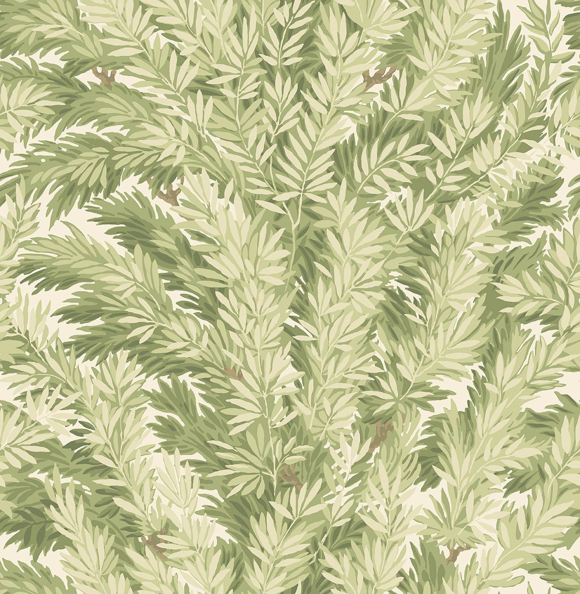 Cole & Son Florencecourt - Olive on Cream