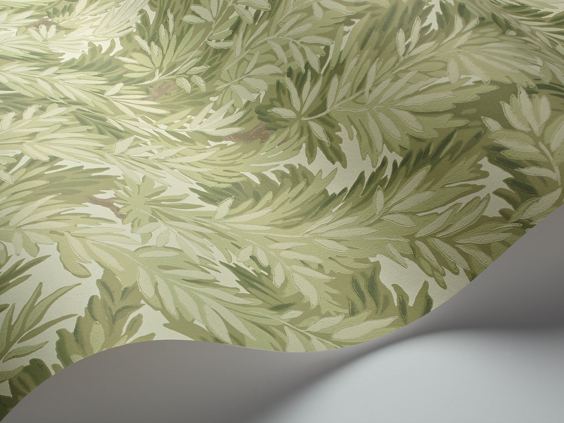 Cole & Son Florencecourt - interior