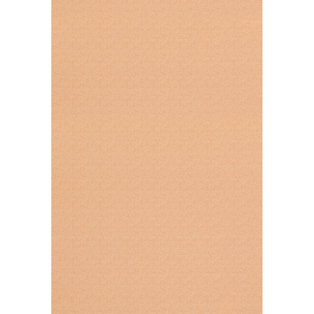 George & Minnie | Canvas fabric - Coral