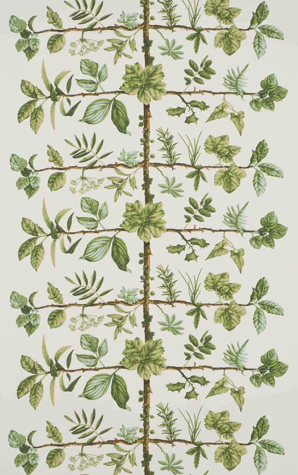 Pierre Frey Wallpaper Espalier - Foin