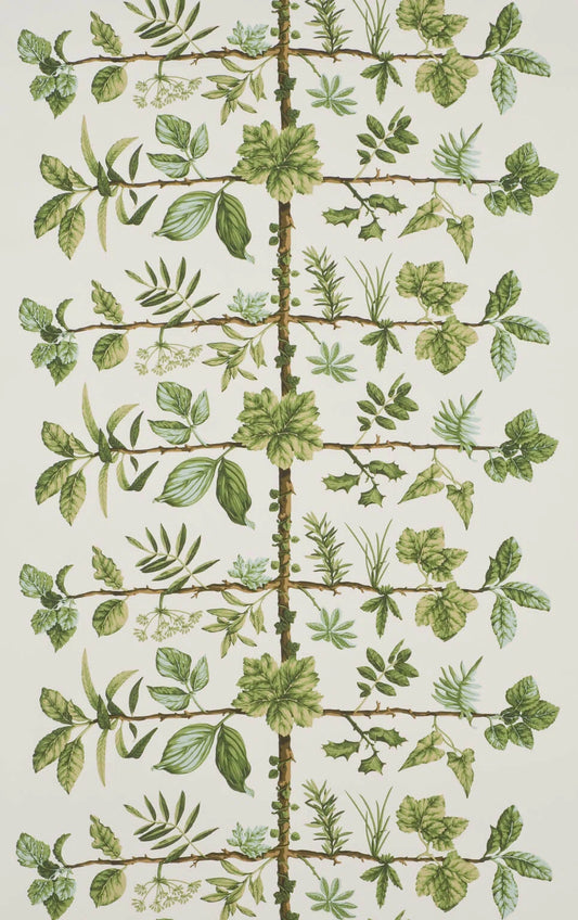 Pierre Frey Wallpaper Espalier - Foin