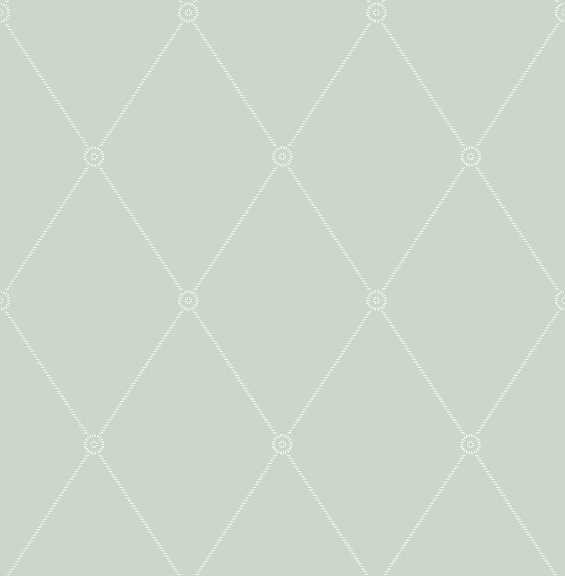Cole & Son Large Georgian Rope Trellis - Duck Egg