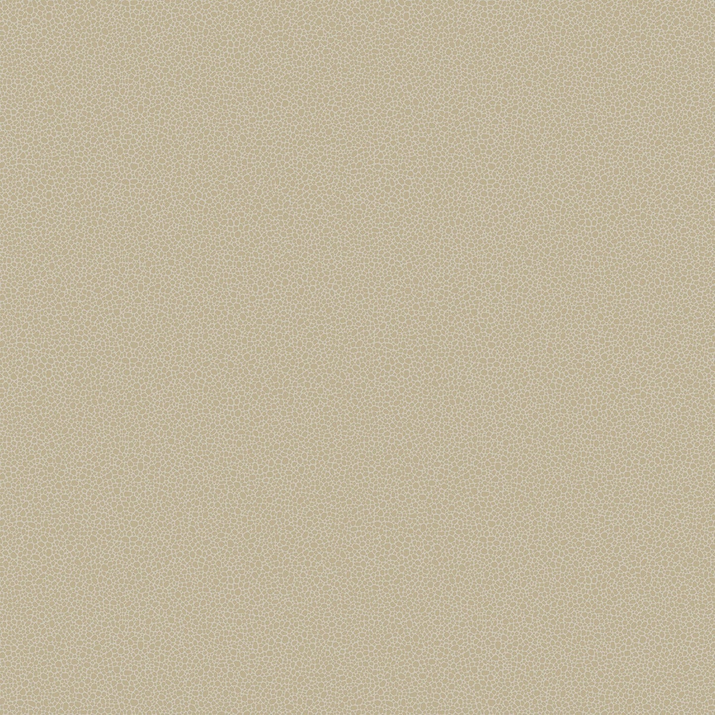 Cole & Son Goldstone - Metallic Gilver on Stone