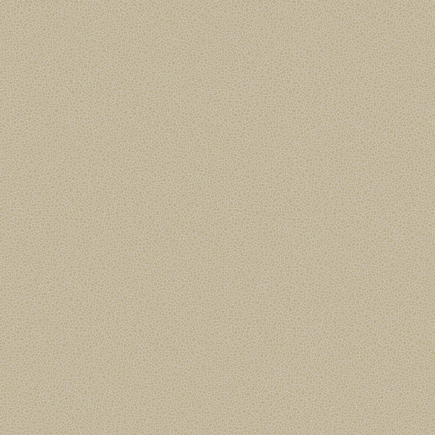 Cole & Son Goldstone - Metallic Gilver on Stone