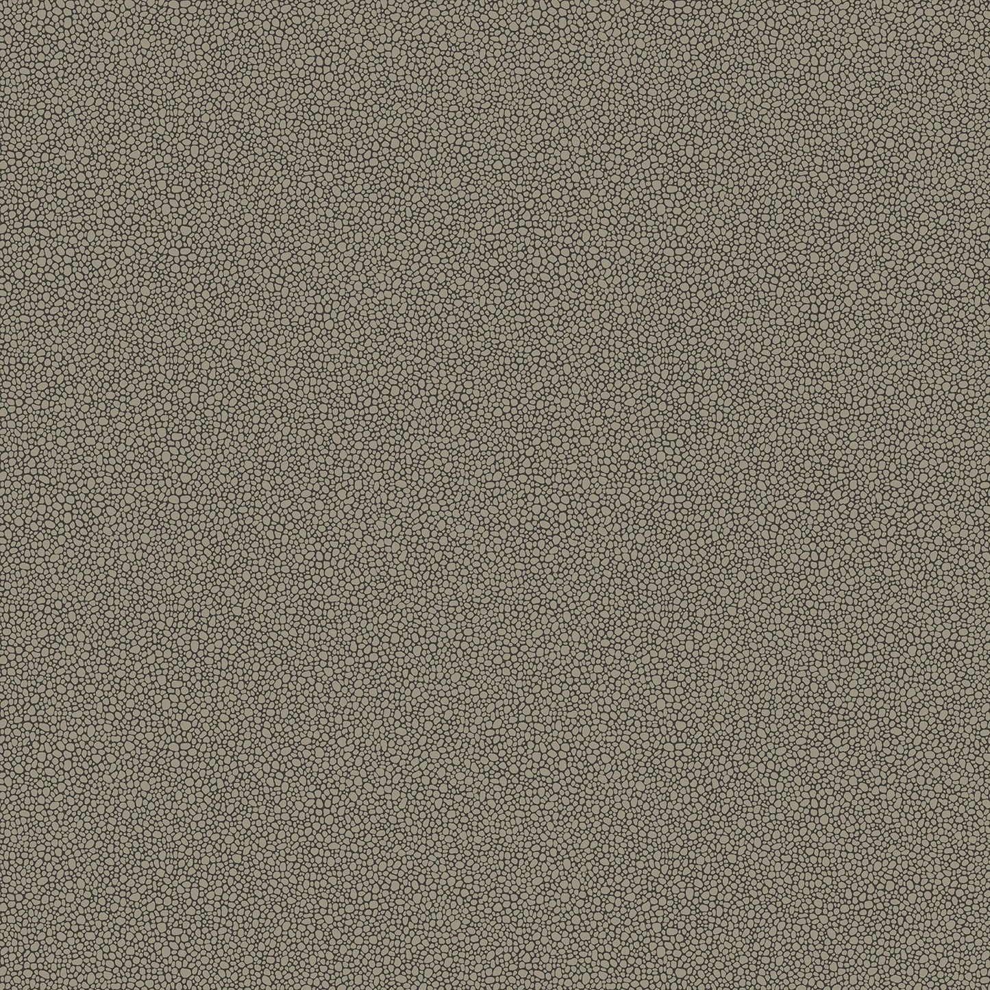 Cole & Son Goldstone - Metallic Silver on Charcoal