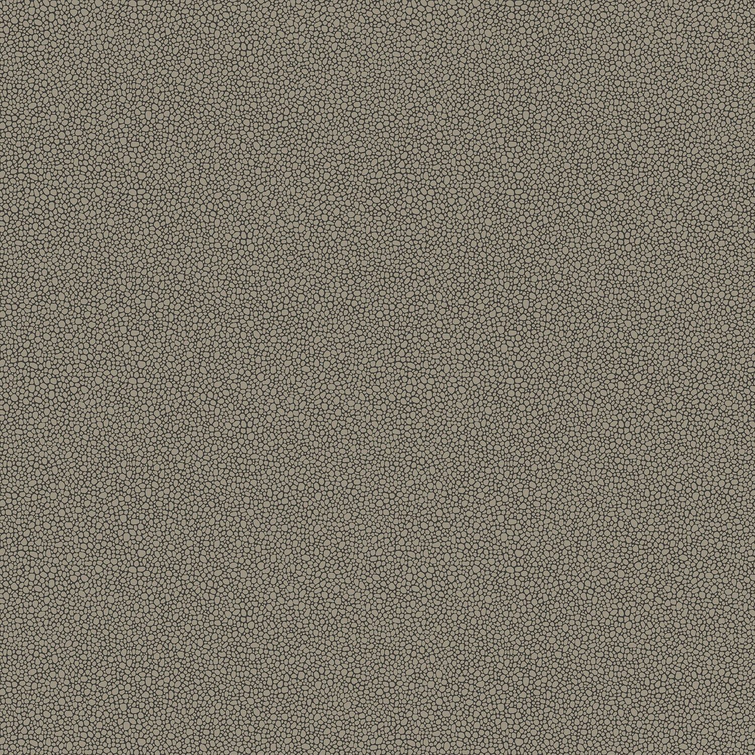 Cole & Son Goldstone - Metallic Silver on Charcoal