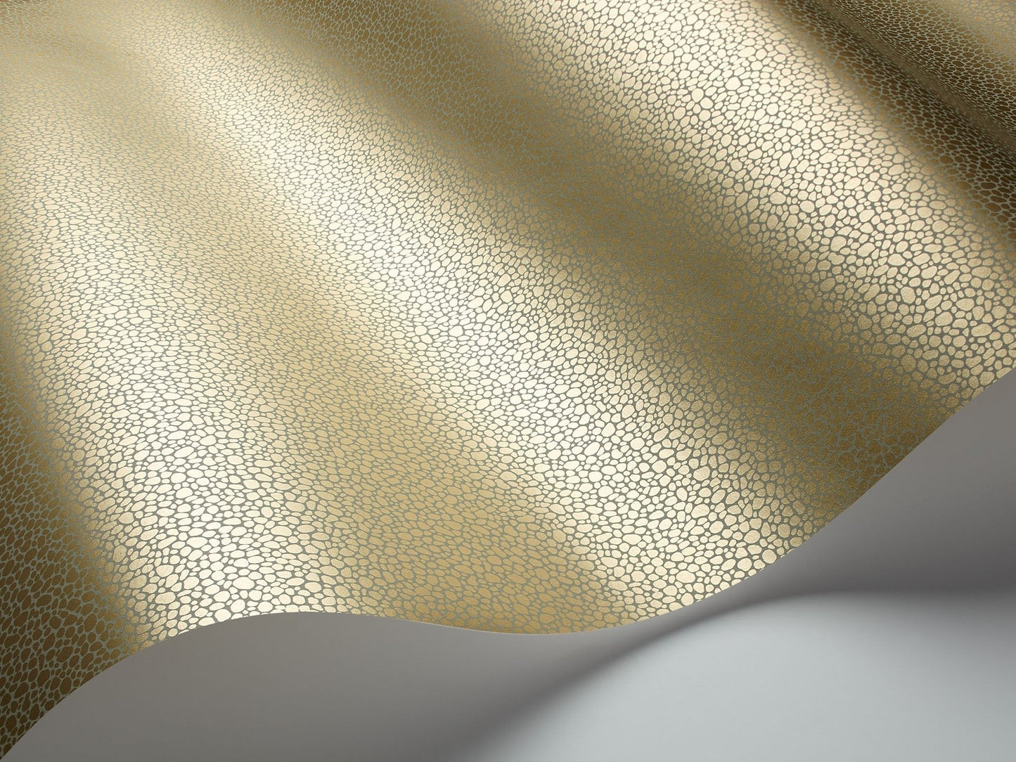 Cole & Son Goldstone - interior