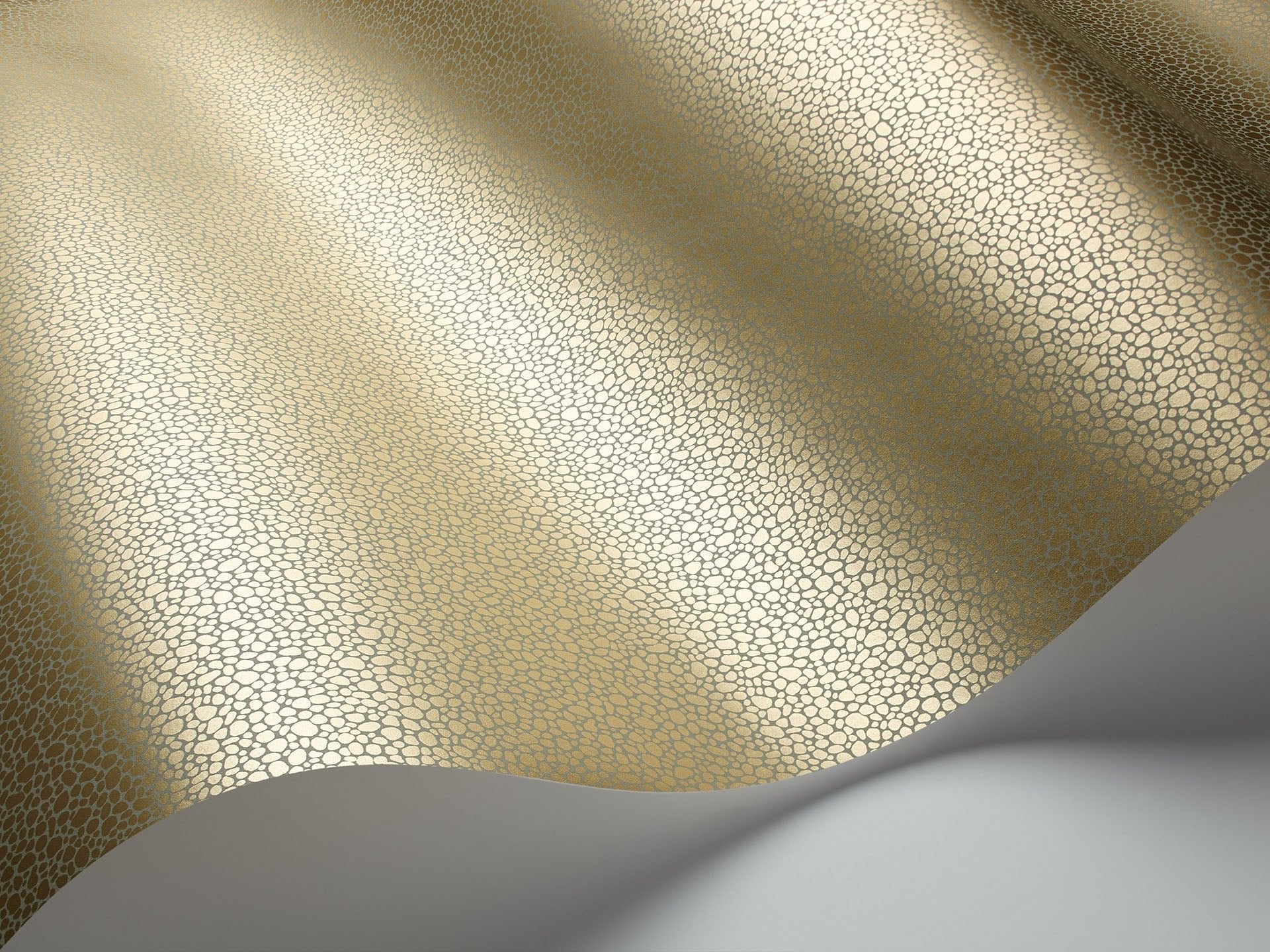 Cole & Son Goldstone - interior