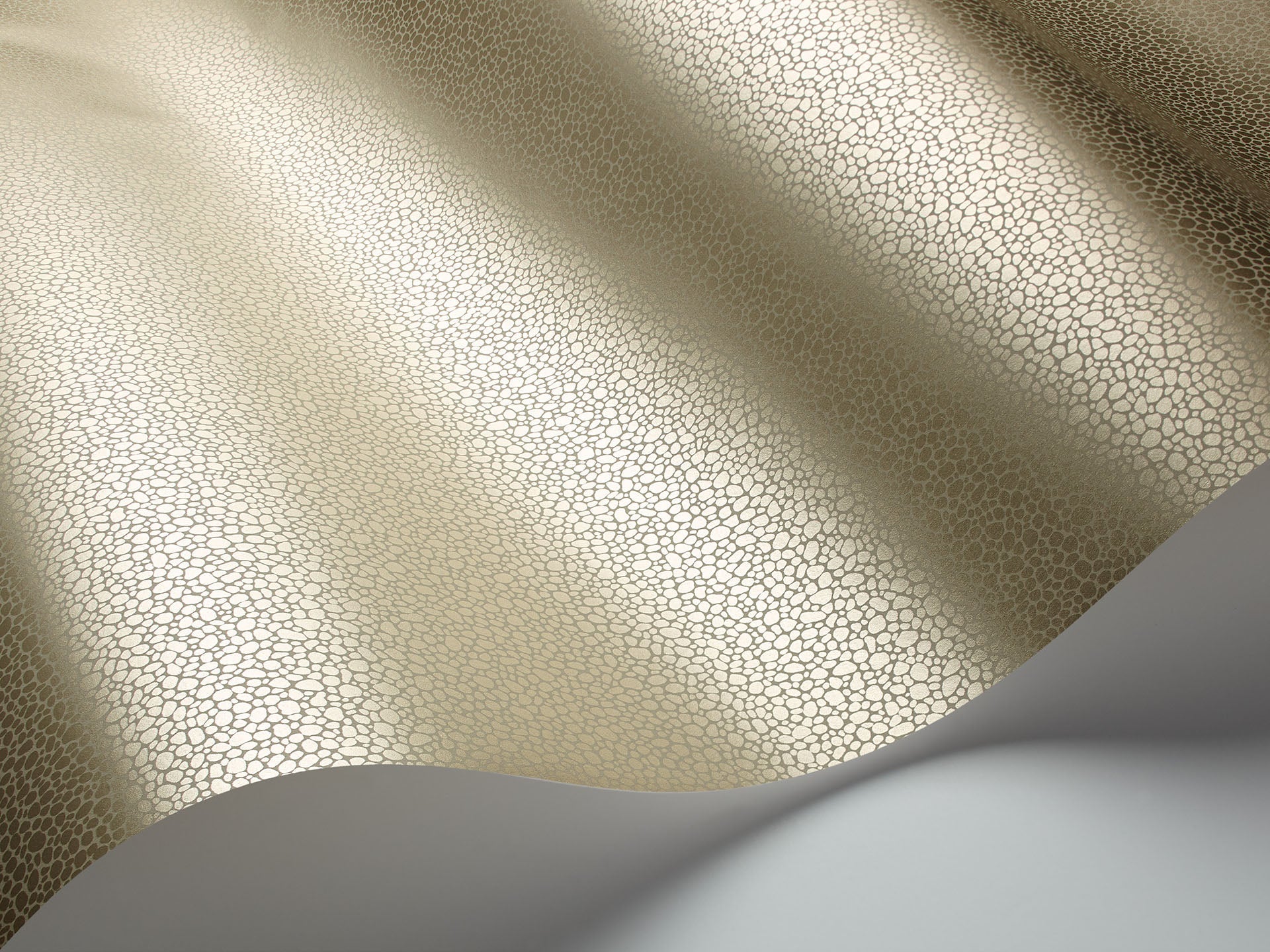 Cole & Son Goldstone - interior
