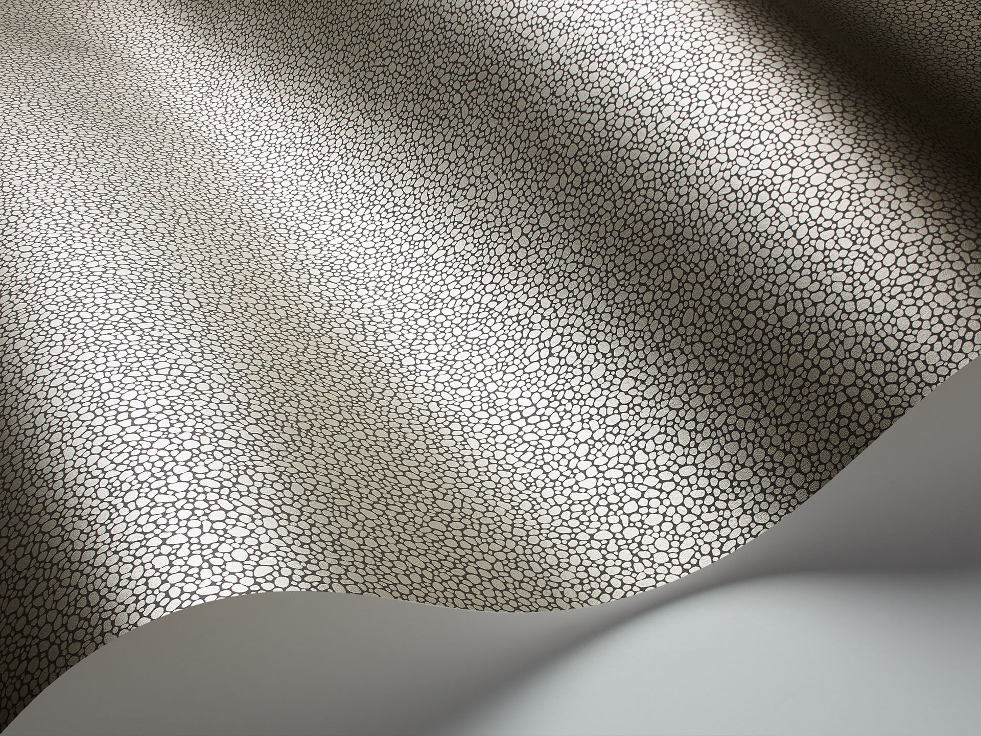 Cole & Son Goldstone - interior