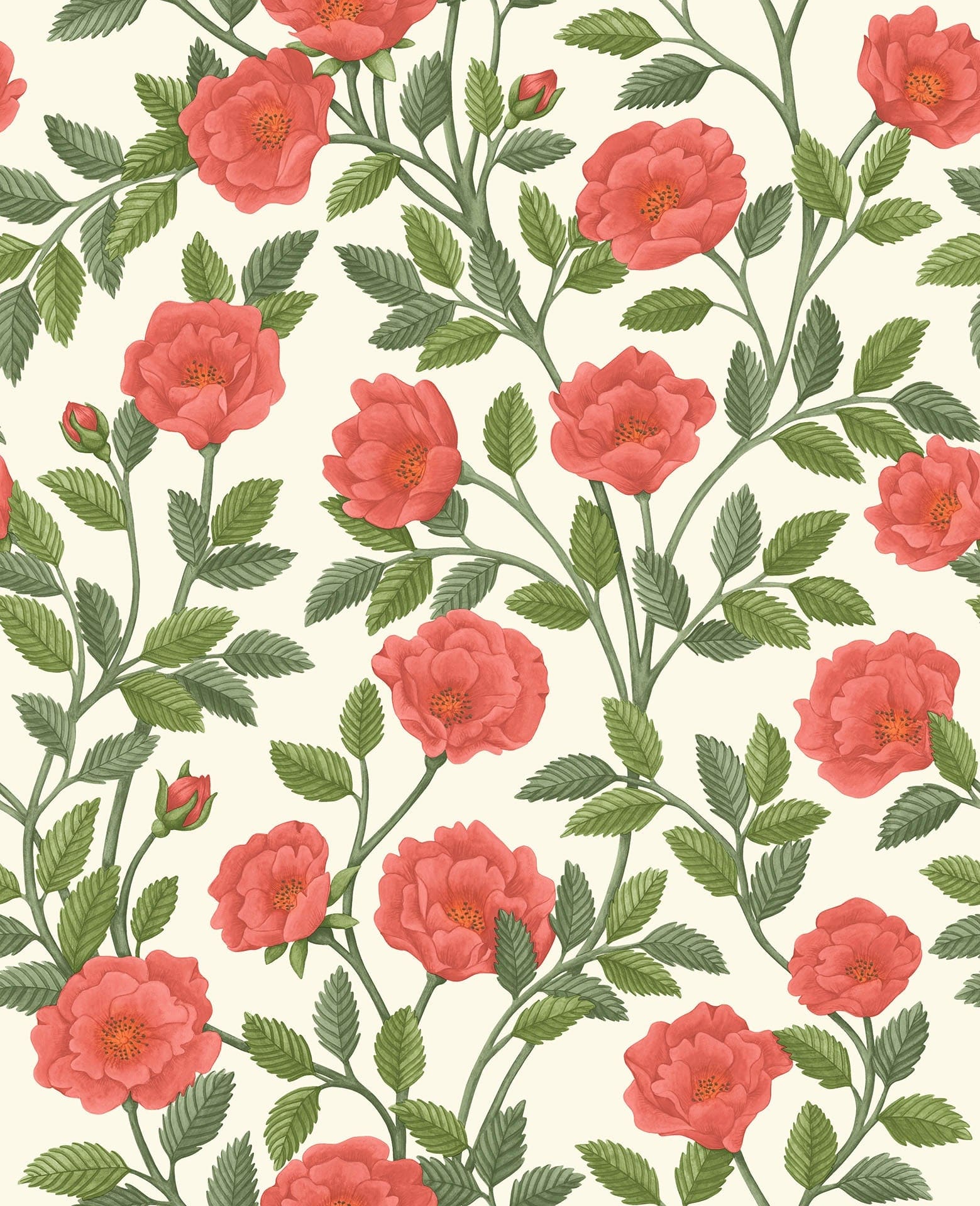 Cole & Son Hampton Roses wallpaper - Rouge & Spring Green on Parchment