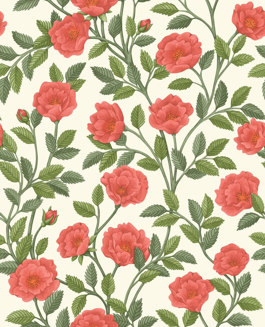 Cole & Son Hampton Roses wallpaper - Rouge & Spring Green on Parchment