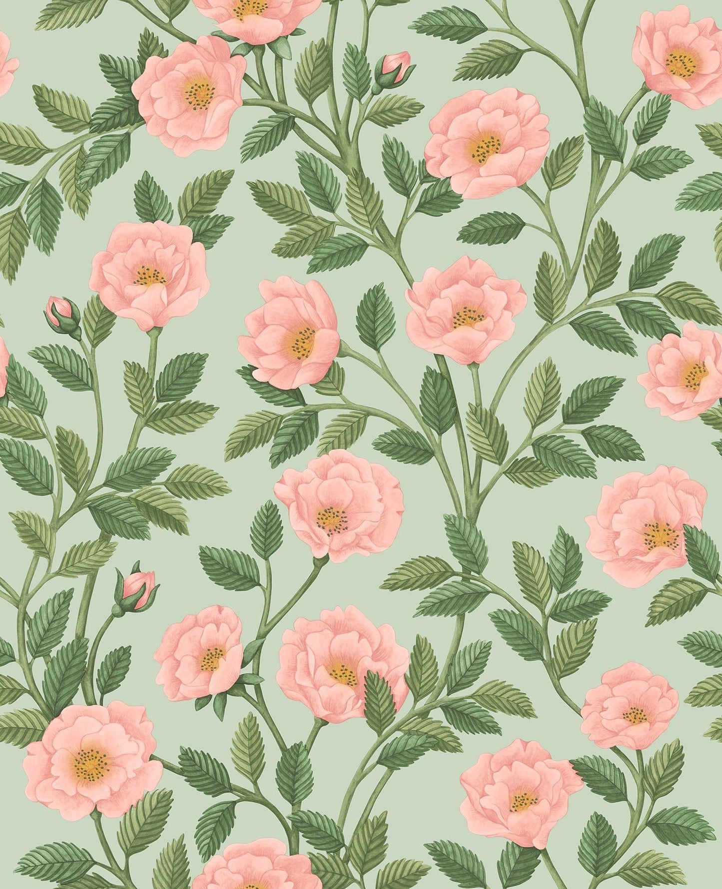 Cole & Son Hampton Roses - Rose & Leaf Green on Duck Egg