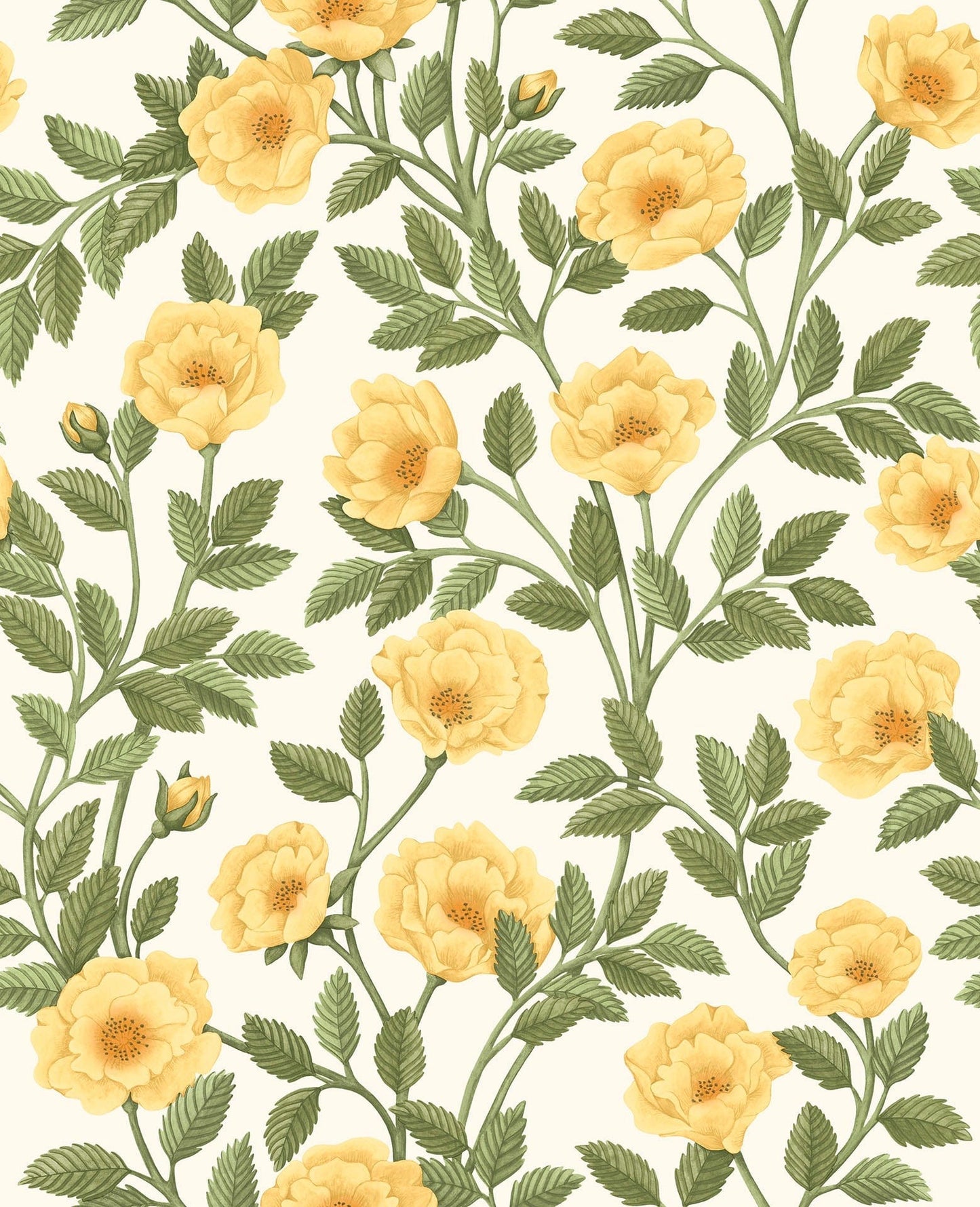 Cole & Son Hampton Roses - Marigold & Olive Green on White