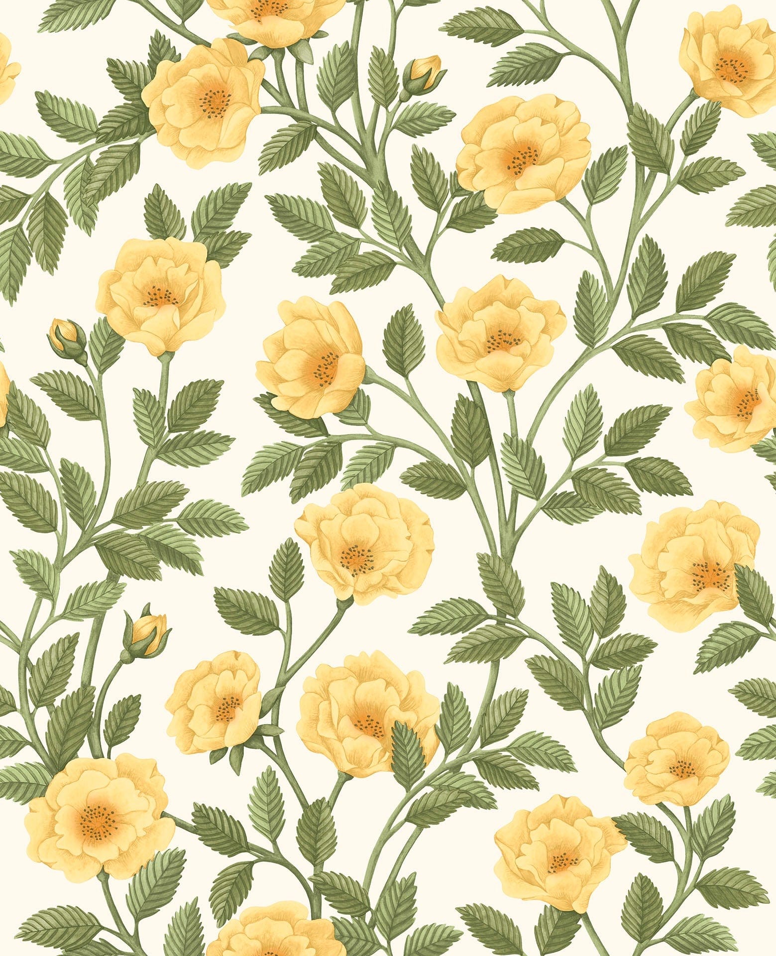 Cole & Son Hampton Roses - Marigold & Olive Green on White