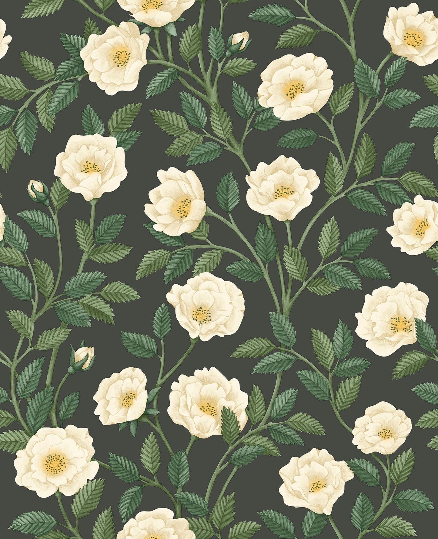 Cole & Son Hampton Roses - Cream & Forest Green on Charcoal