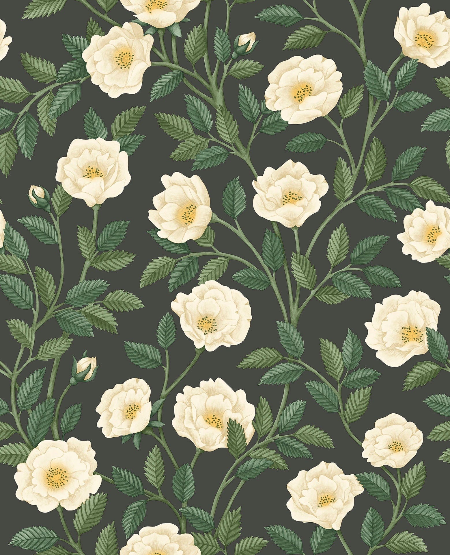 Cole & Son Hampton Roses - Cream & Forest Green on Charcoal