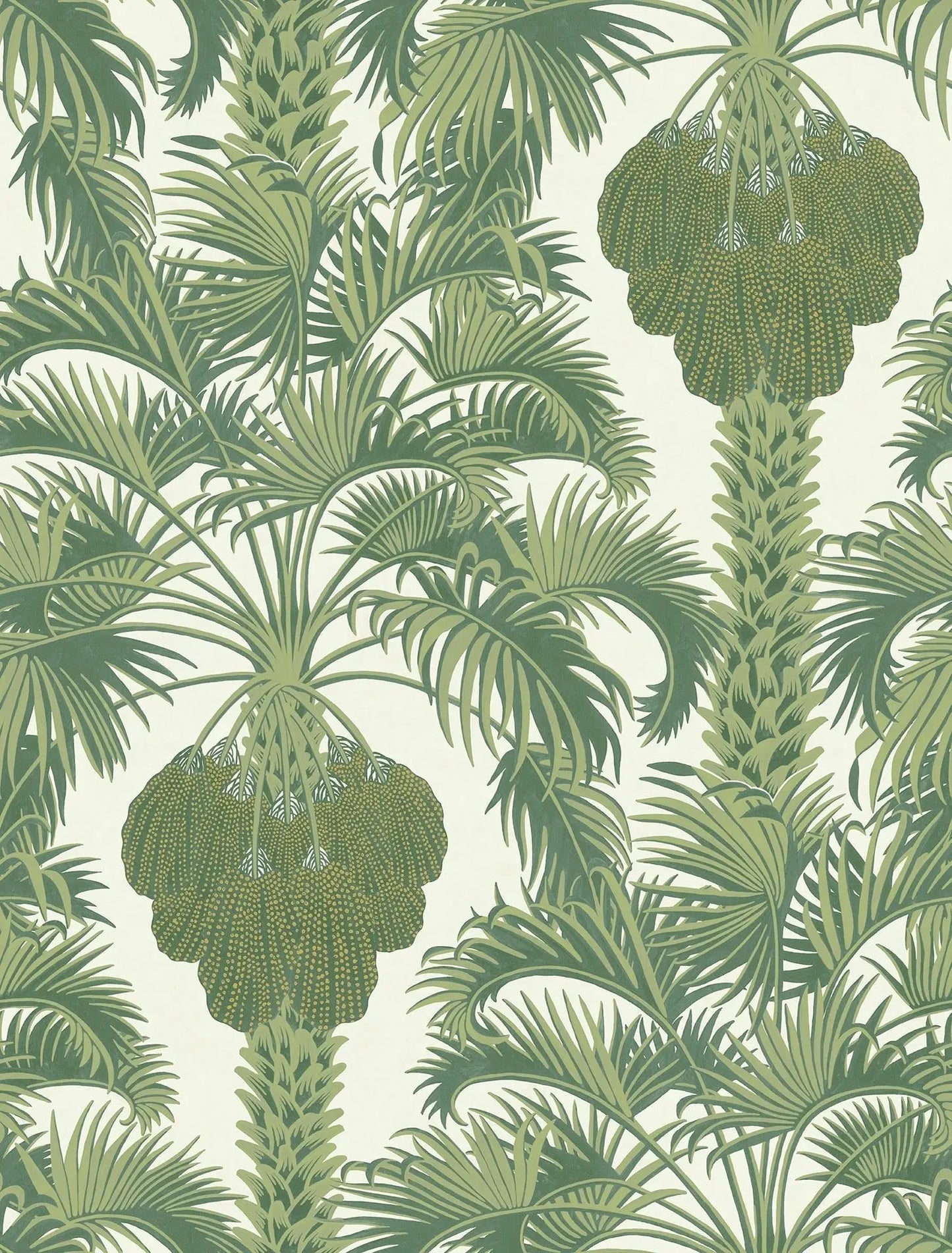 Cole & Son Hollywood Palm - Forest Green on Cream