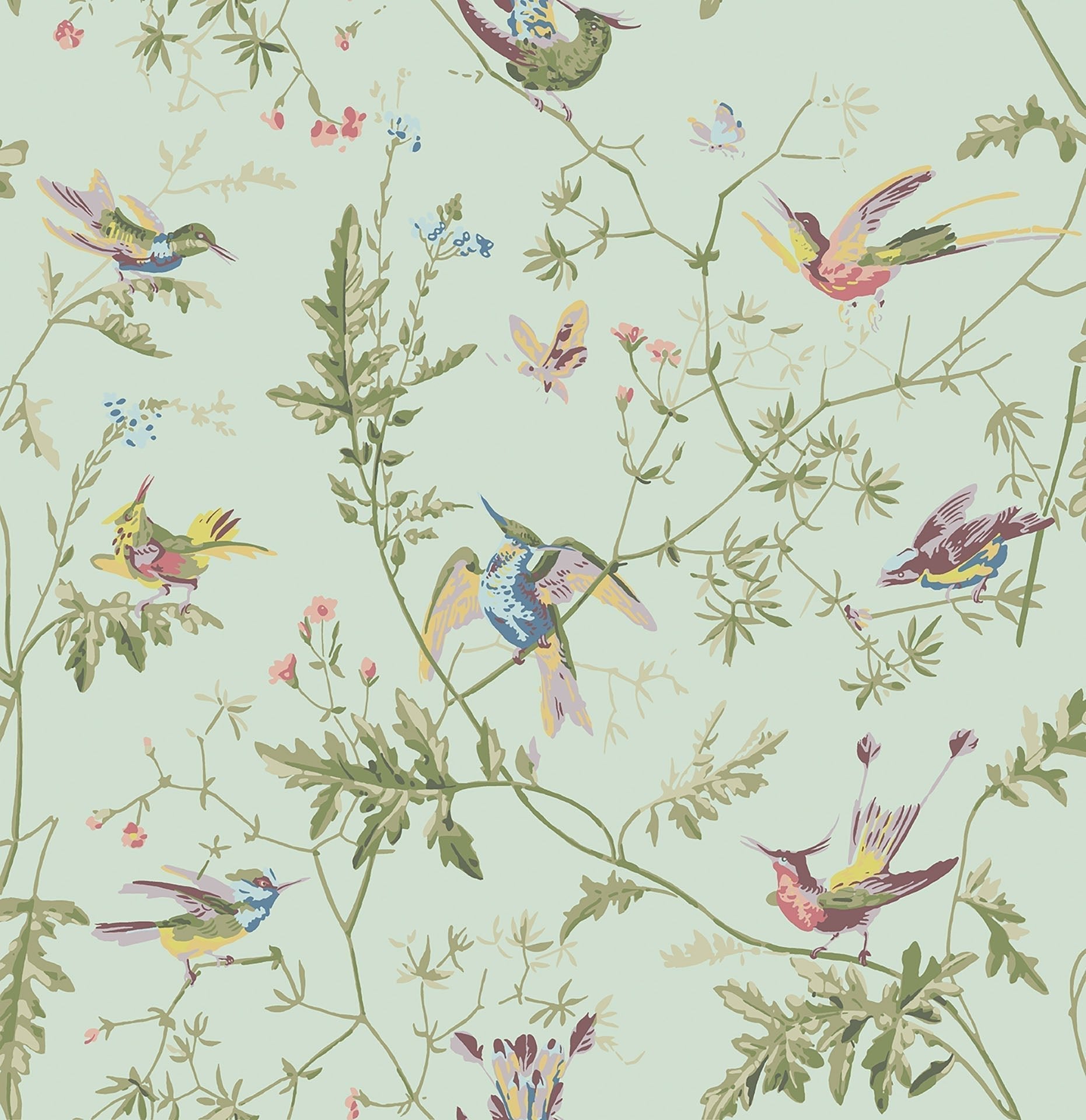 Cole & Son Hummingbirds - Multi, Old Olive on Duck Egg
