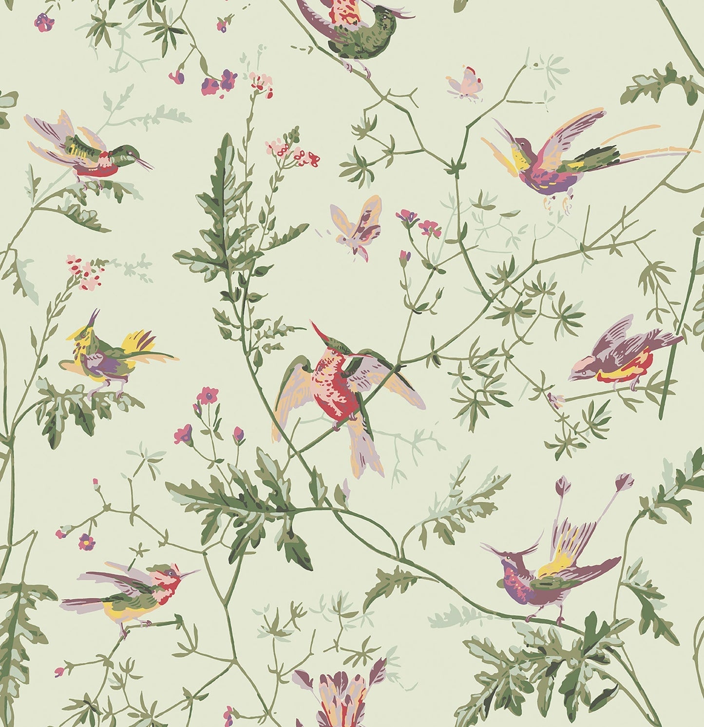 Cole & Son Hummingbirds - Multi, Old Olive on Eau Du Nil