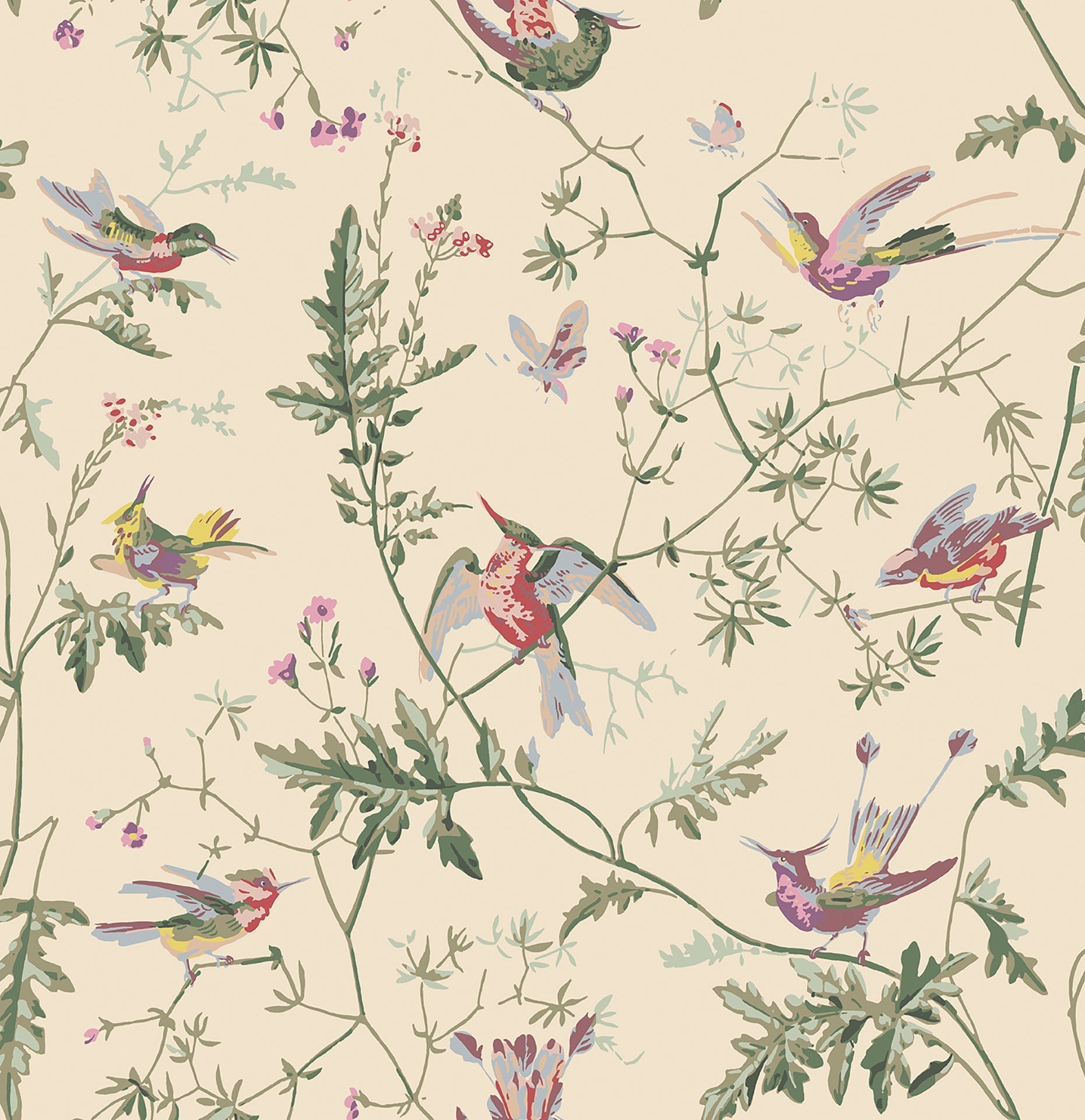 Cole & Son Hummingbirds - Classic Multi & Old Olive on Cream