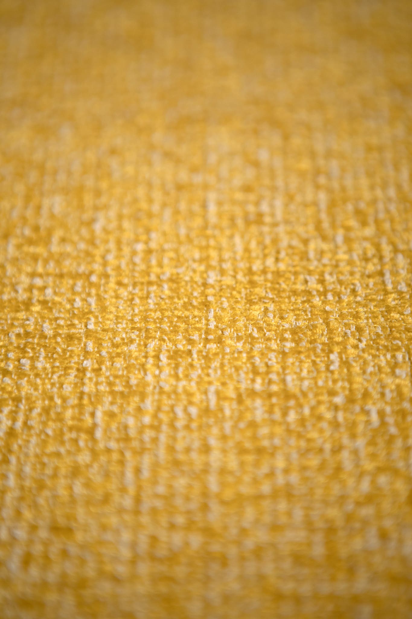 Rubelli Velvety - interior